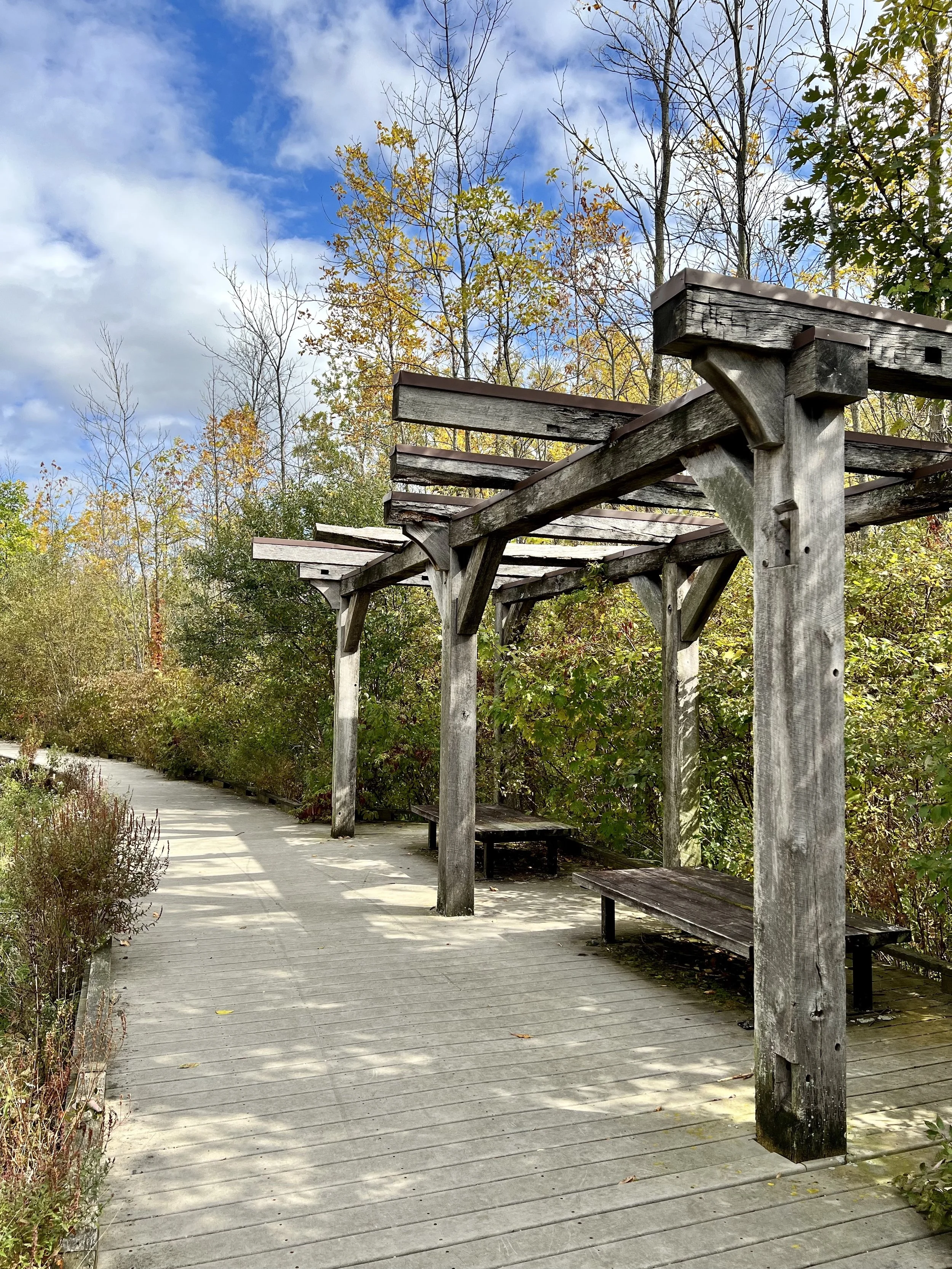 Meridian Centre Park Boardwalk.jpg