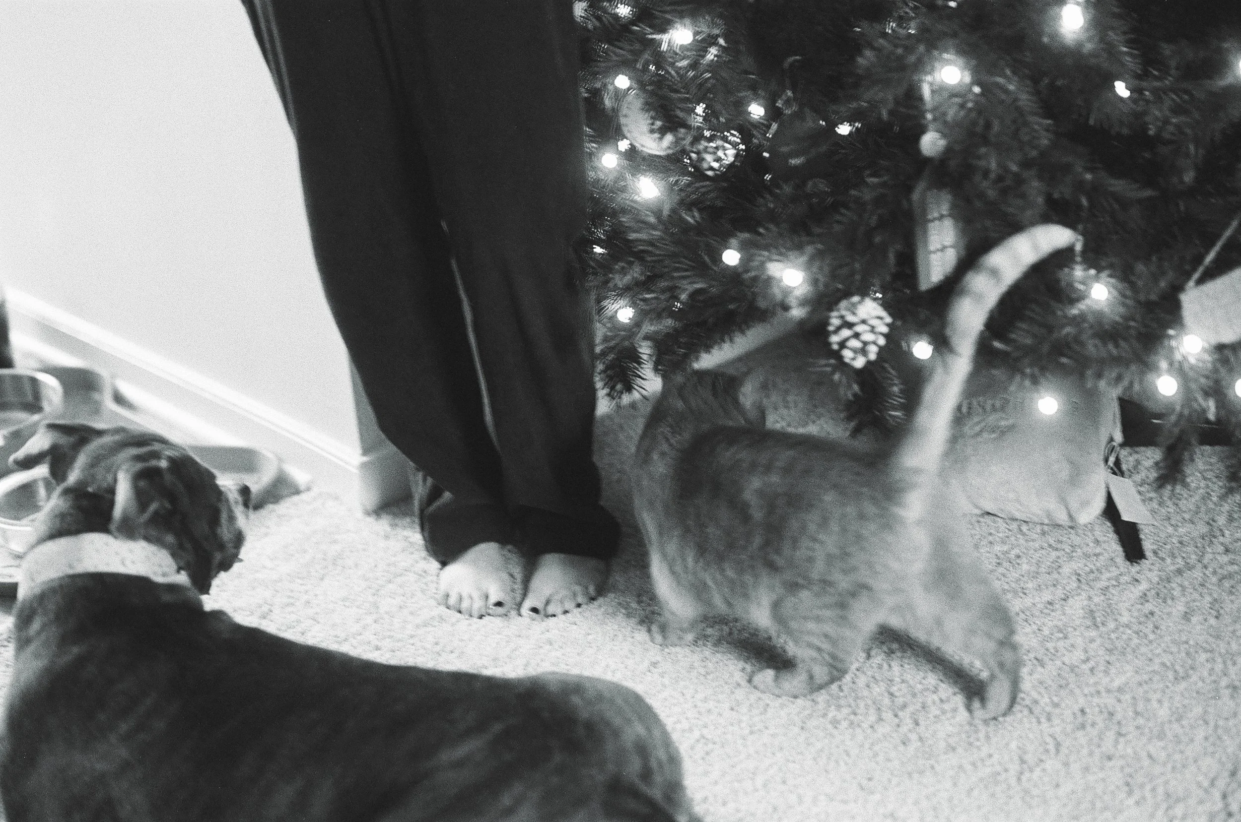 20108 12102025 1-006.jpg