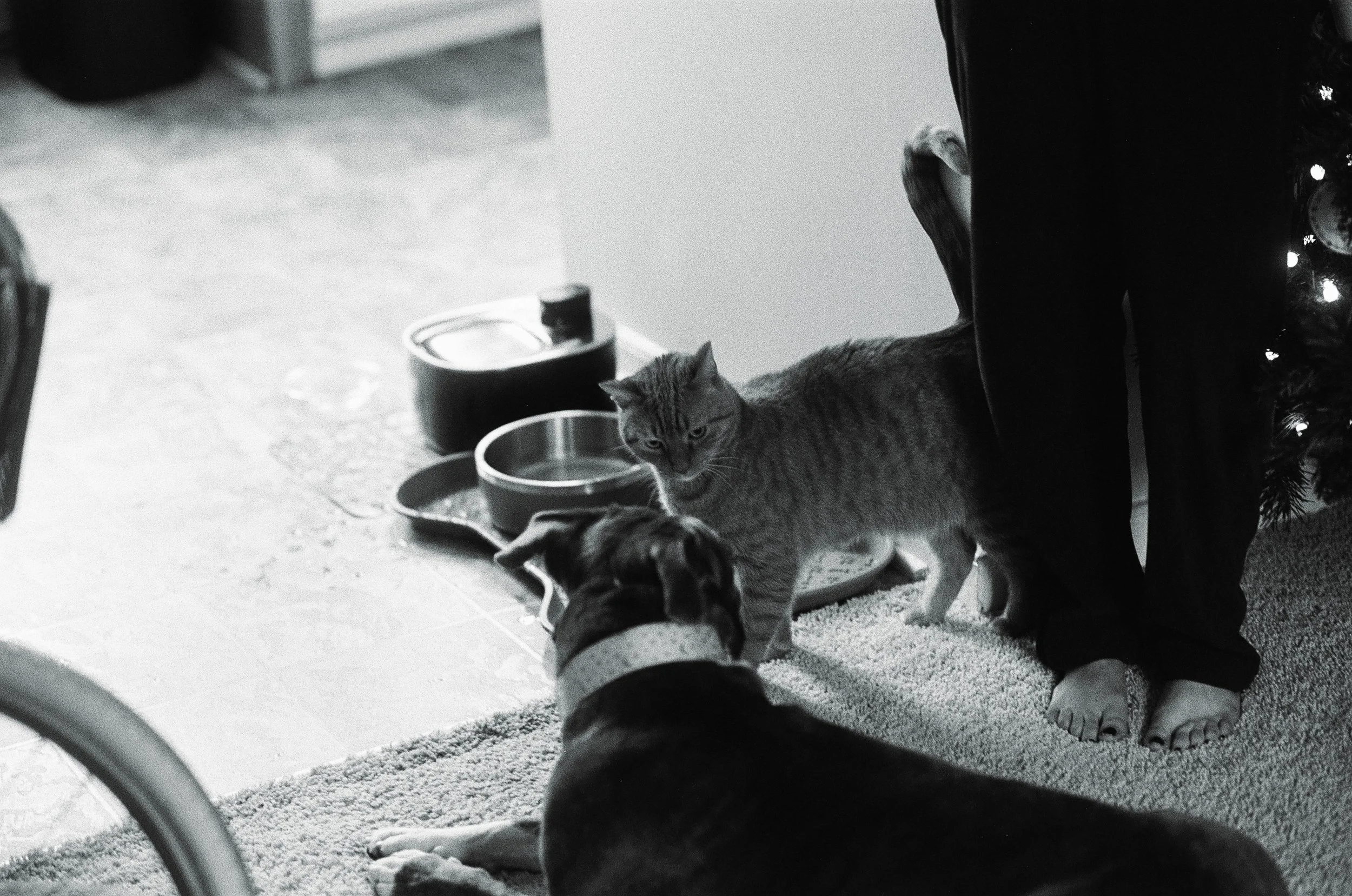 20108 12102025 1-007.jpg