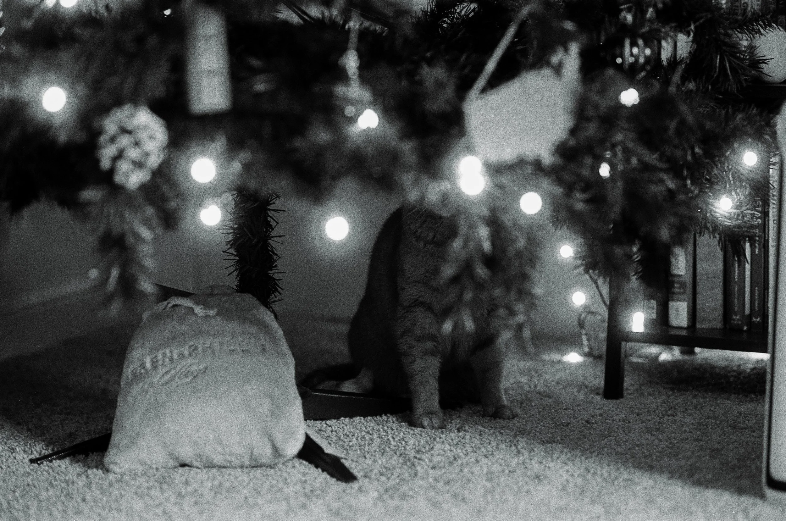 20108 12102025 1-009.jpg