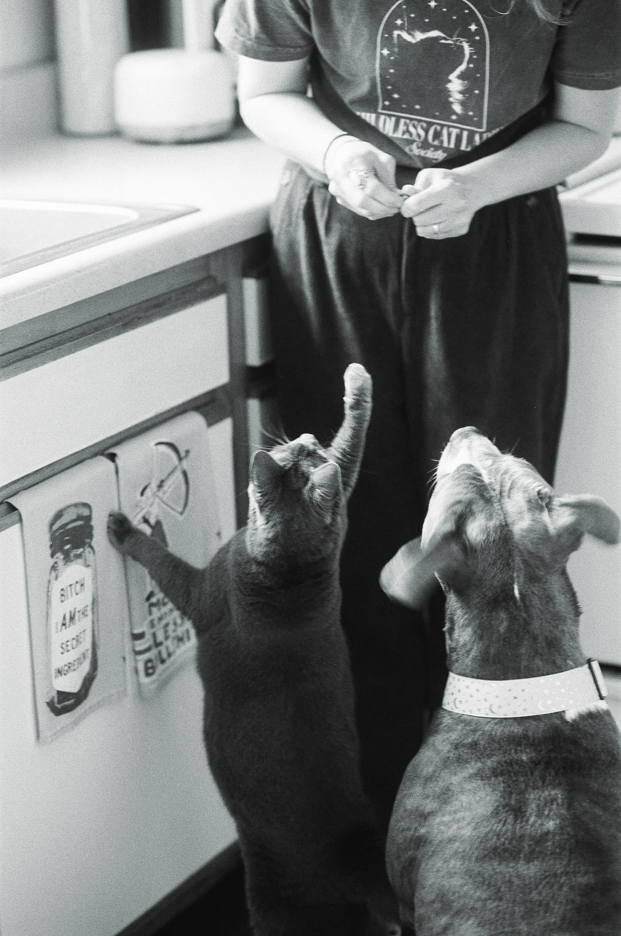 20108 12102025 1-011.jpg