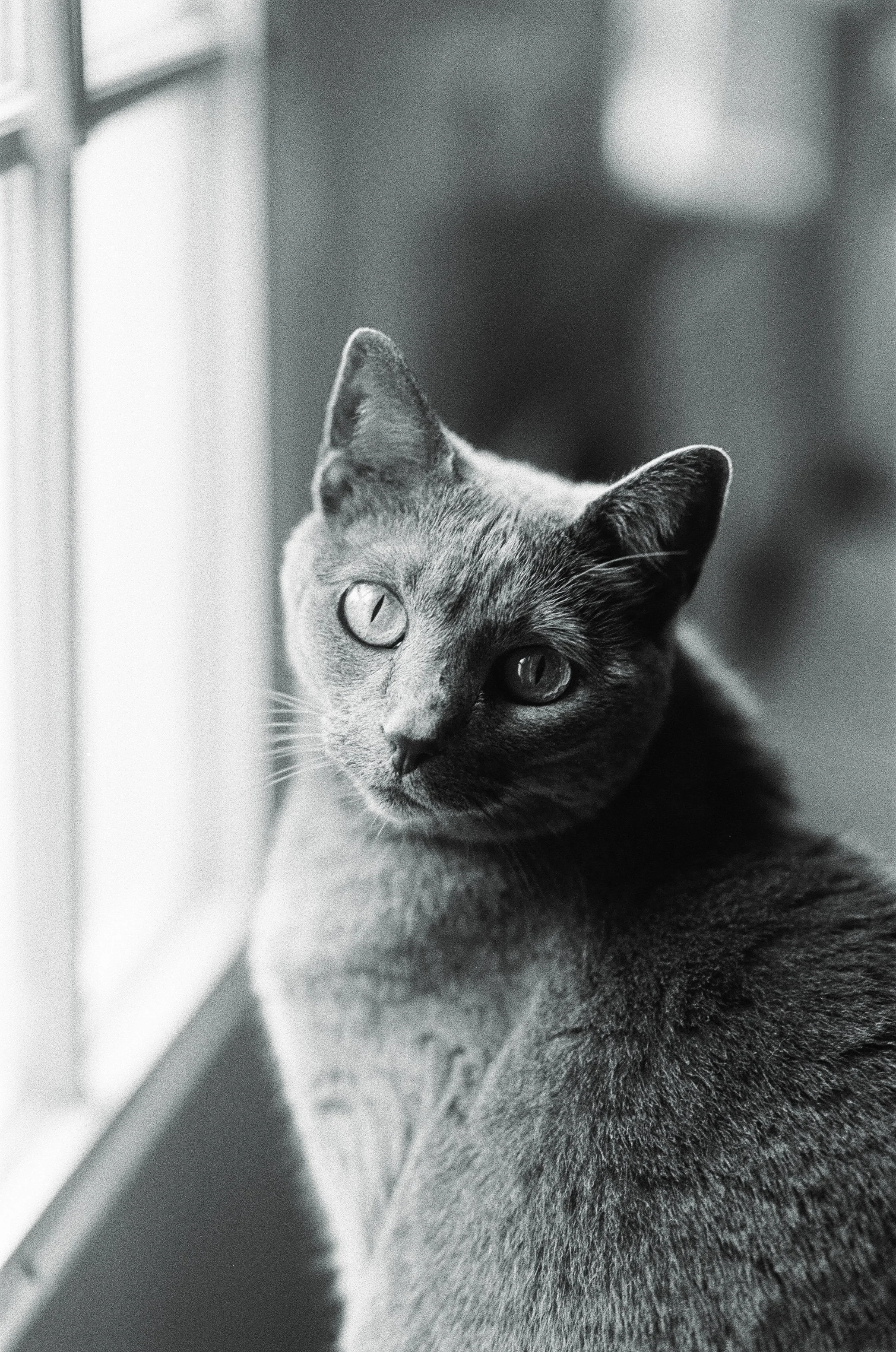 20108 12102025 1-023.jpg