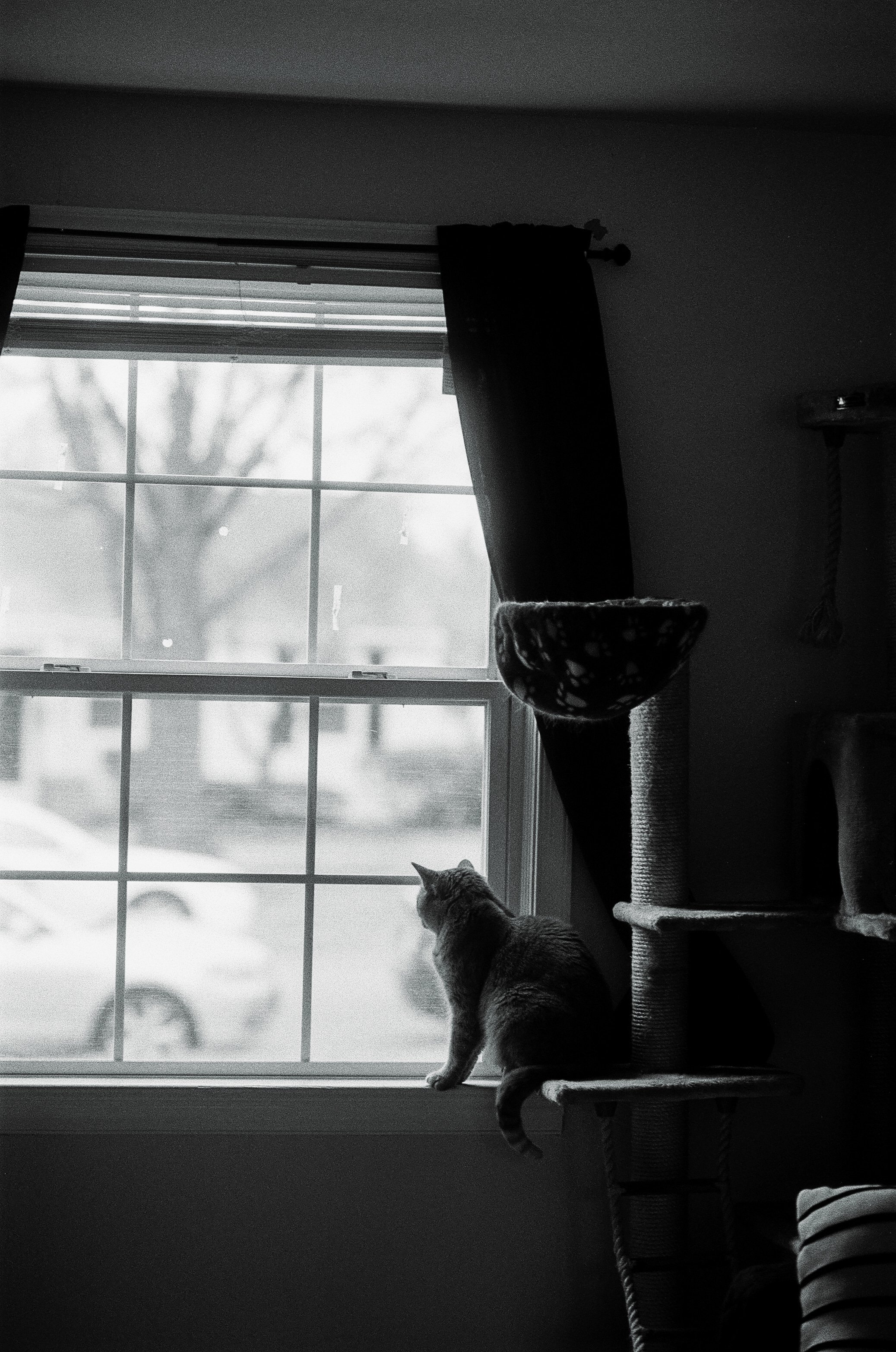 20108 12102025 1-032.jpg