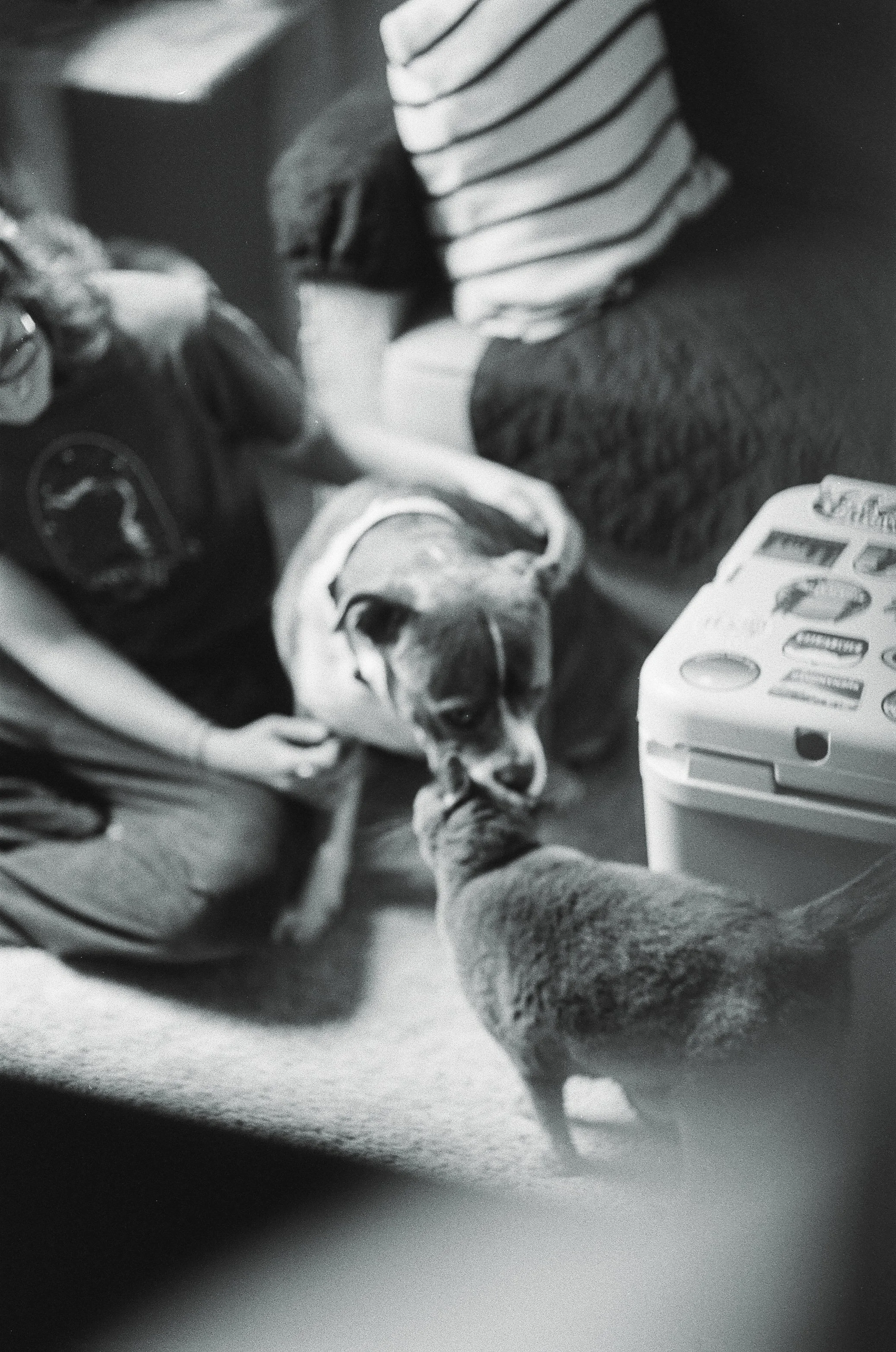 20108 12102025 2-019.jpg