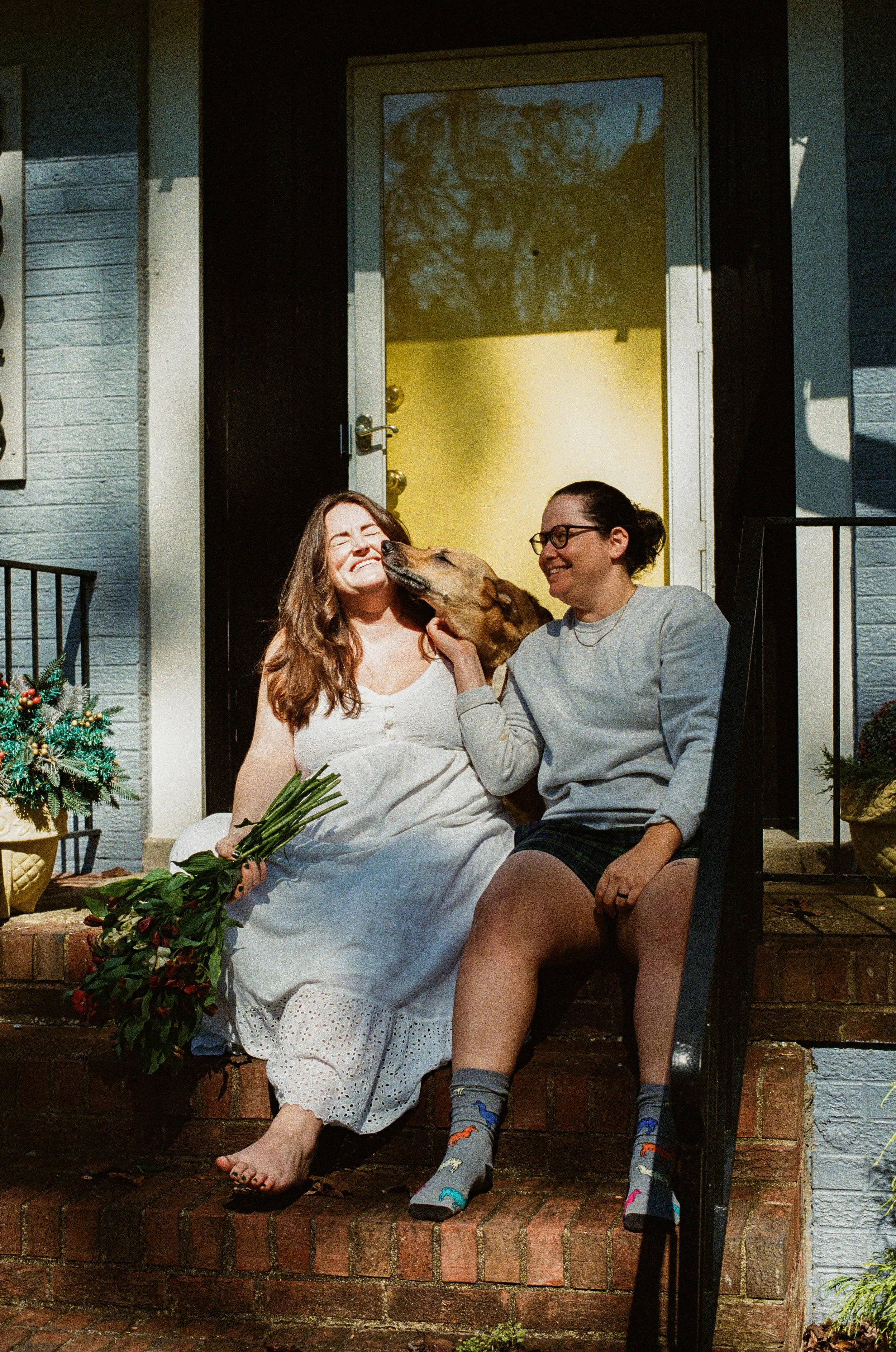 family-maternity-session-with-dog-richmond-hannah-louise-photo.jpg