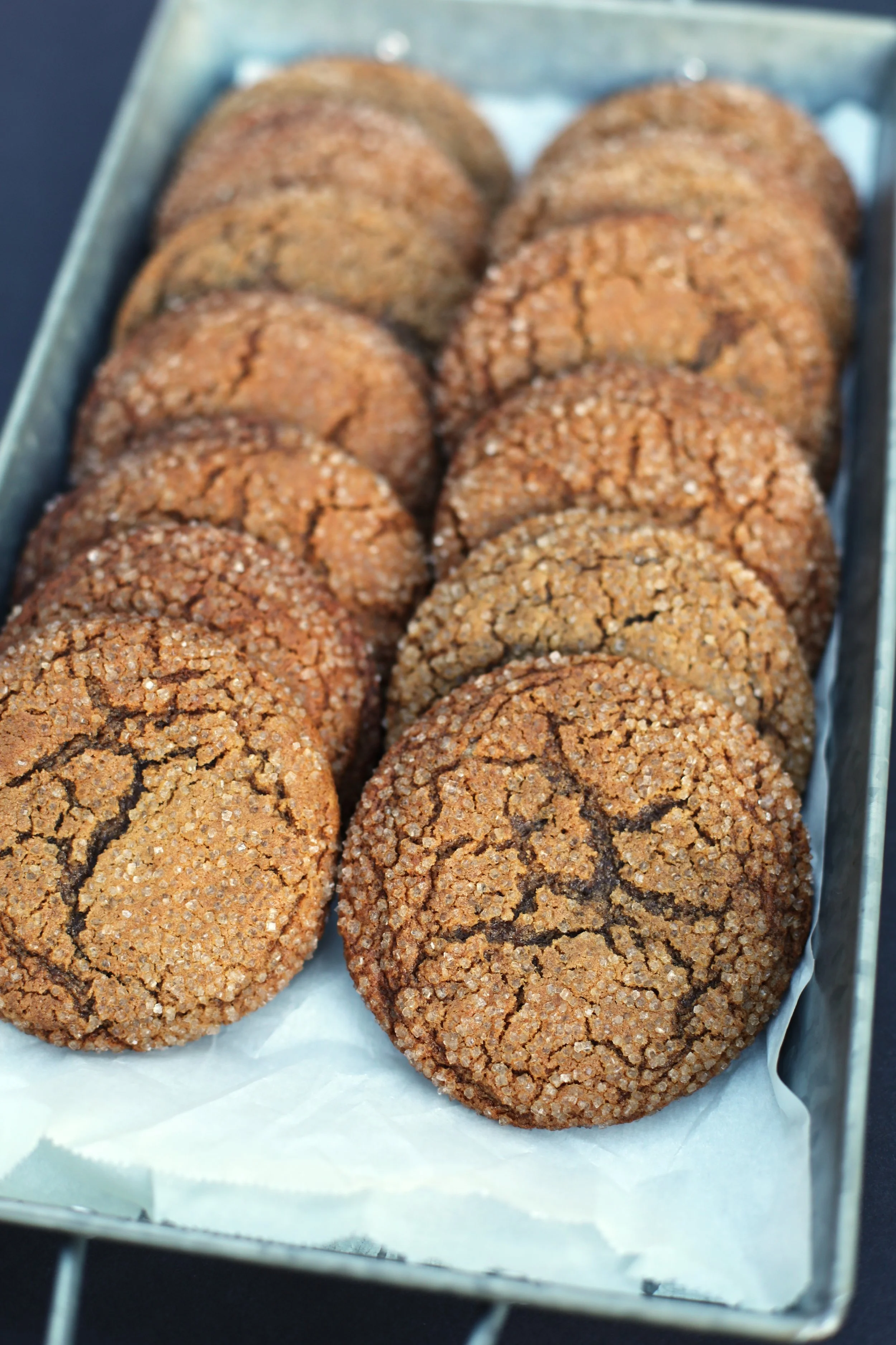 Ginger Molasses Cookies.JPG