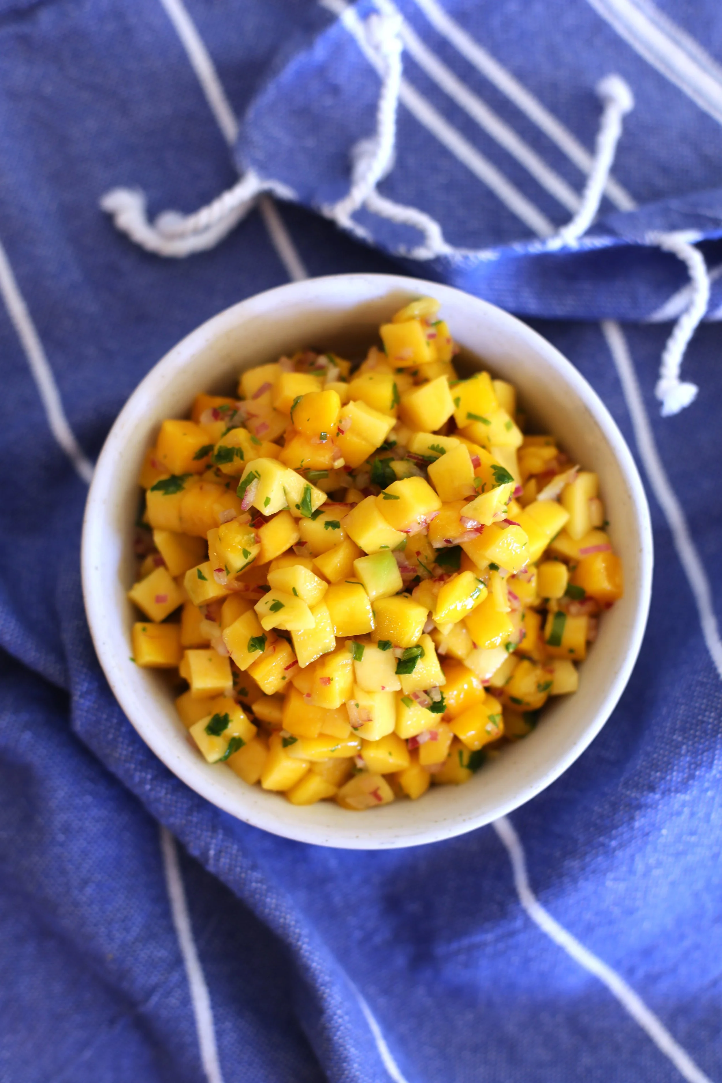 5/5 Delivery: Mango Salsa