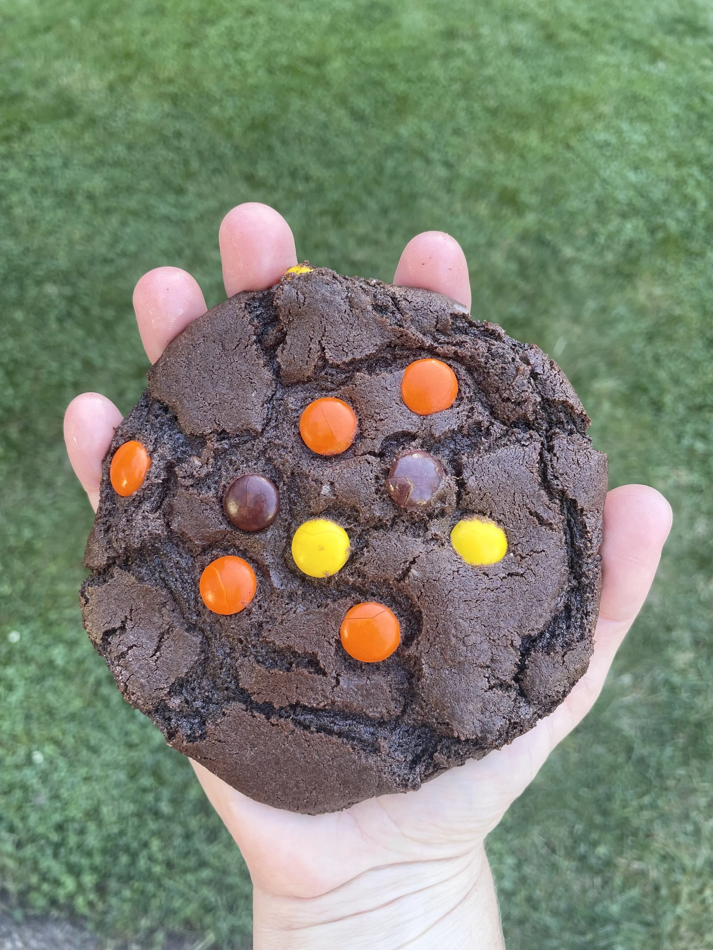 Double Chocolate Cookie photo.jpeg