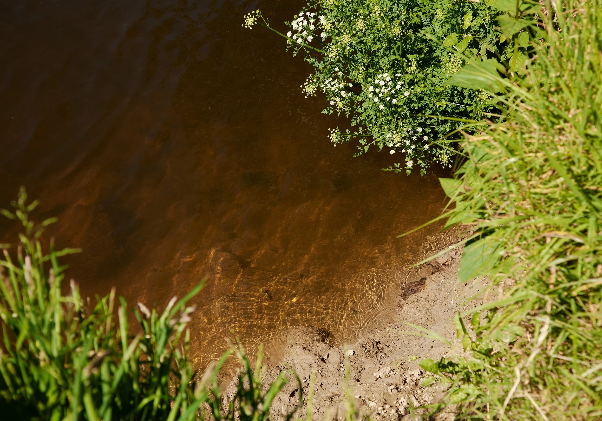 Future Generations 39.jpg