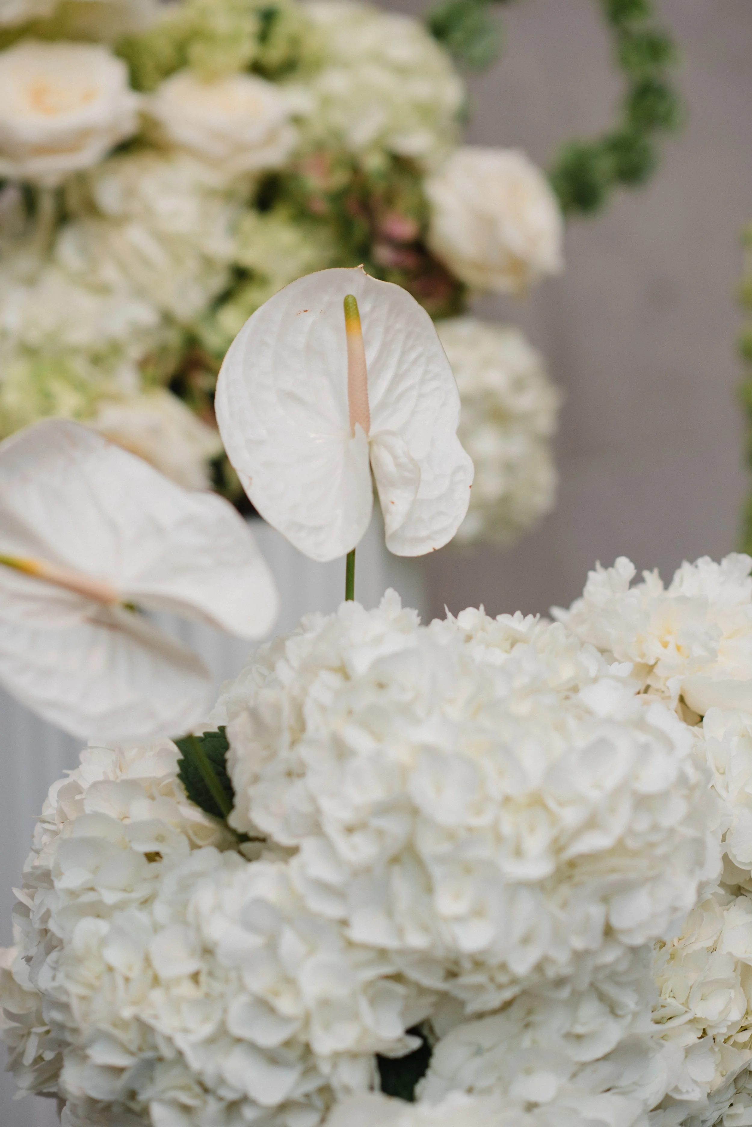 7.11.26A&JWEDDINGFINAL-1975.jpg
