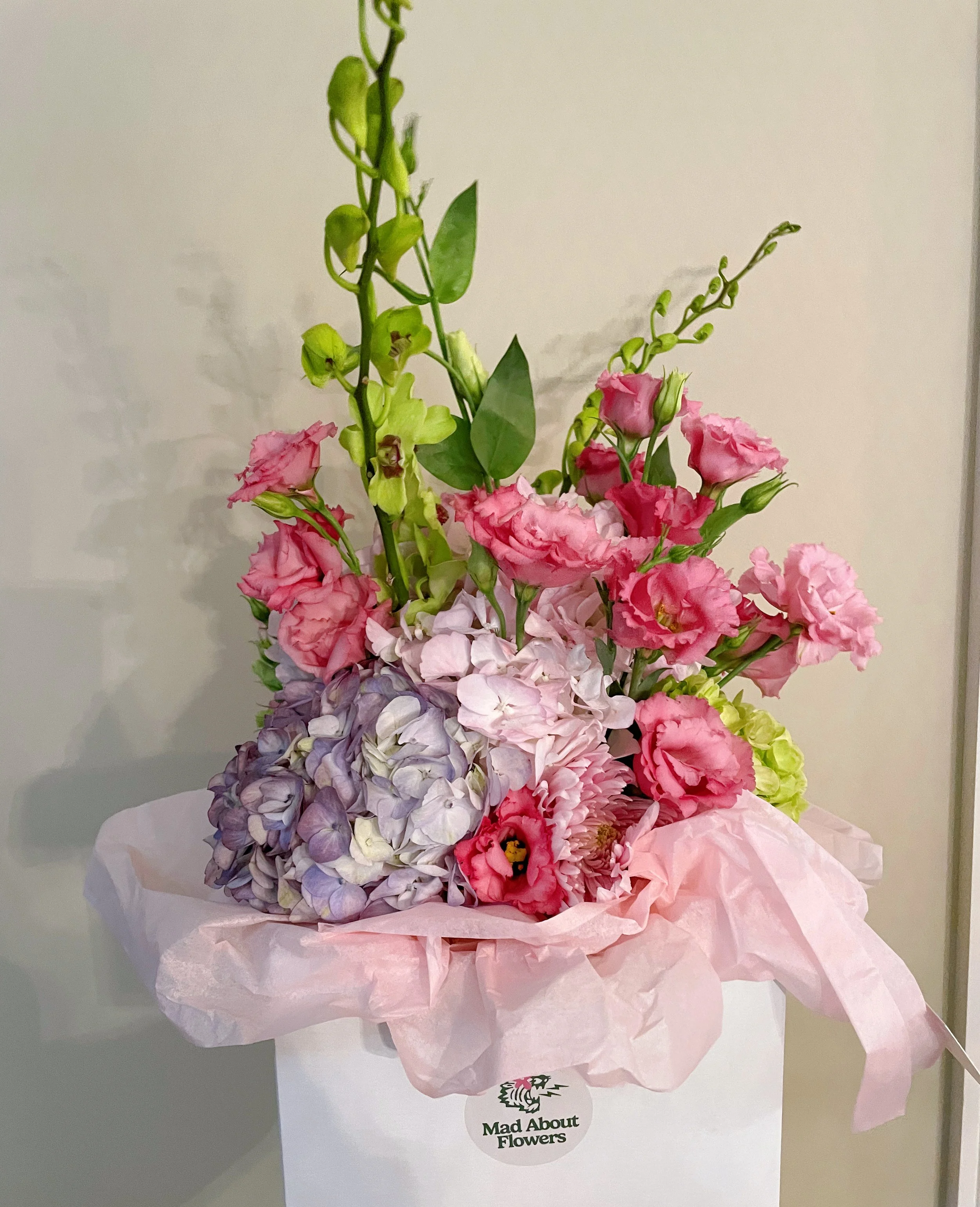 IMG_5270.png