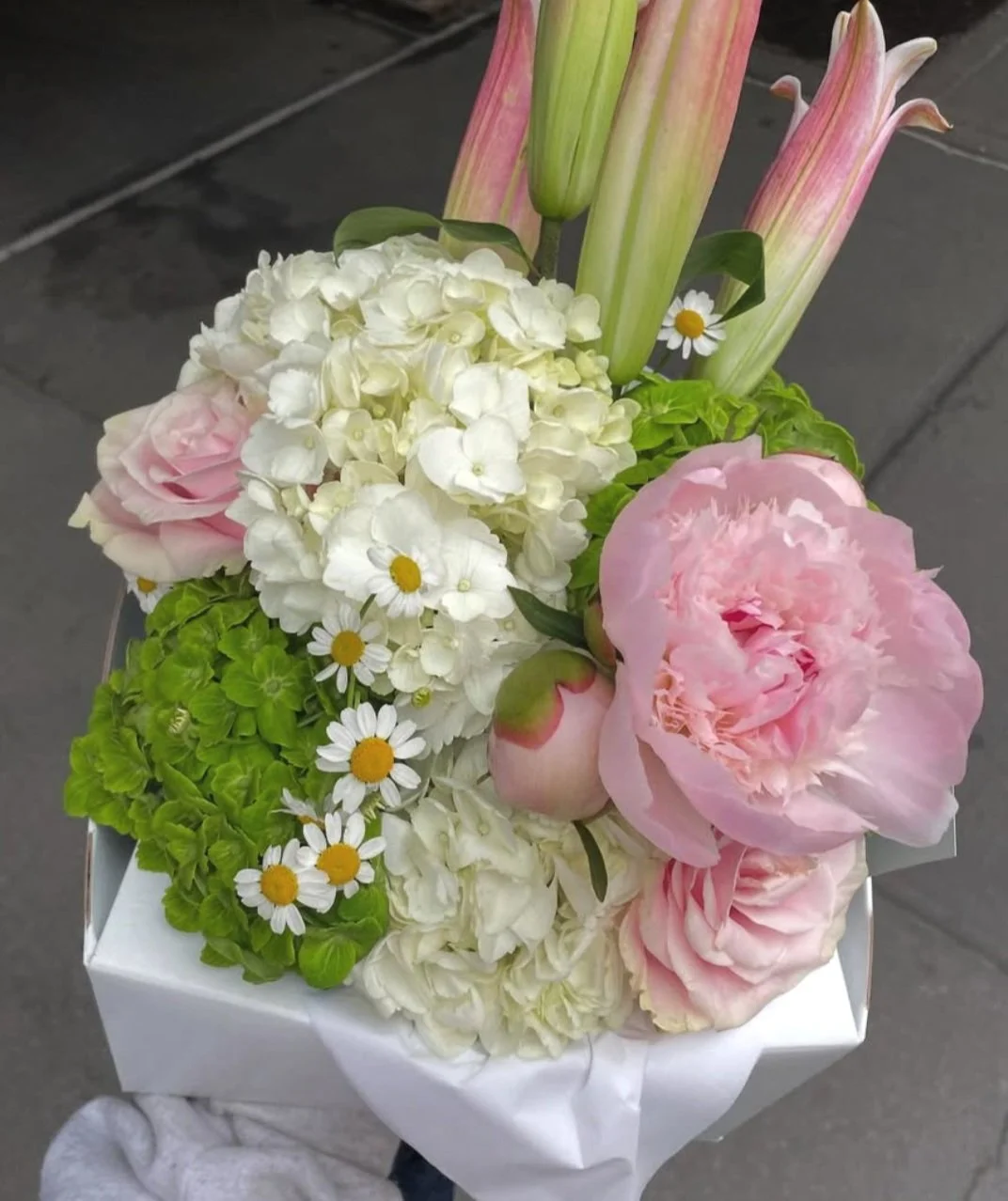 Screen Shot 2025-06-19 at 12.40.45 PM.jpg