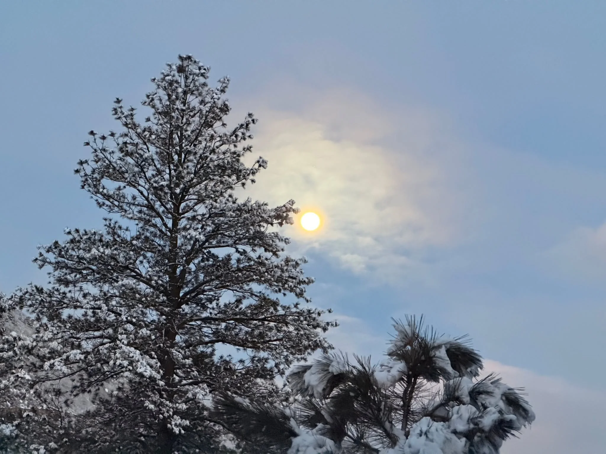 The full moon during winter.
For anyone who runs in the dark this time of year, the moon can bring something special to your adventure when there is snow.  These adventures can be so well lit that you don't even need a headlamp! 
Some of my favorite 