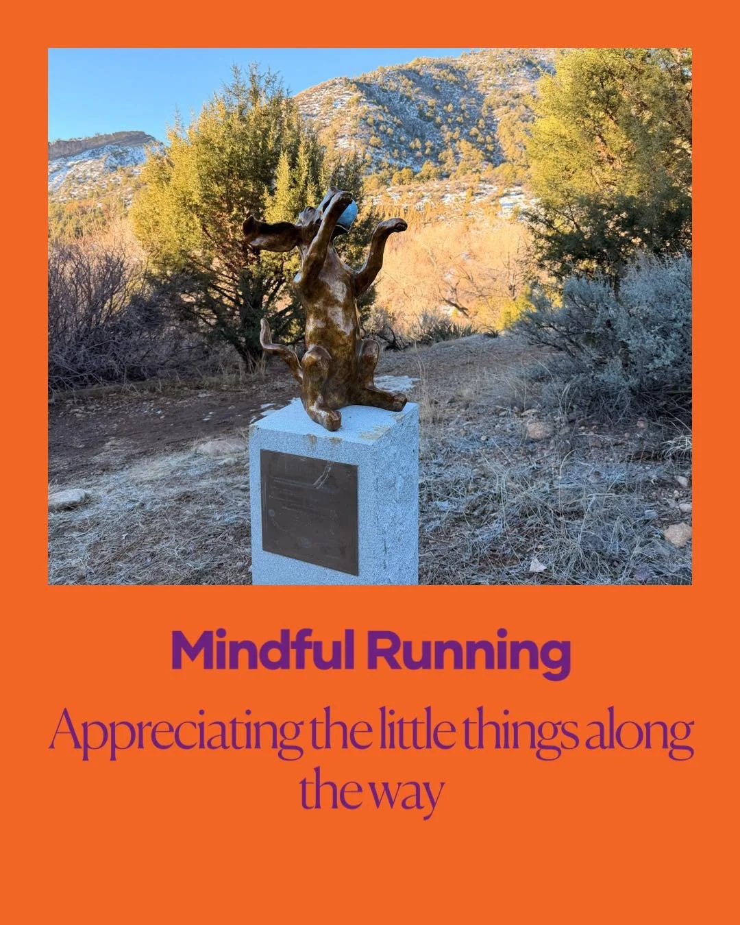 What does it mean to be mindful while running?
-Experiencing your breath
-Listening to your footsteps 
-Seeing wildlife
-Appreciating art along the trail
-Acknowledging what your body is feeling
-Being happy for what your body can do
You can turn any