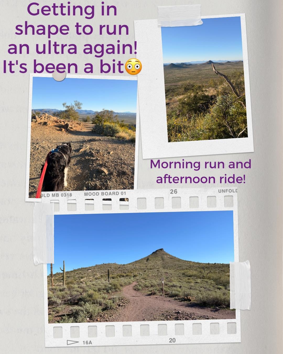 Inspired by my friends and the athletes I coach and also from being tired of dealing with setbacks I&rsquo;m excited to seriously train to finish a 50 miler this year!
I have small goals along the way to get me there and then shifting gears to possib