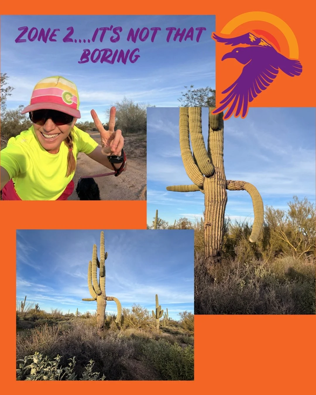 Zone 2: The Foundation of Endurance Training. 
Many athletes struggle with the concept of Zone 2, worrying about perceived slower paces on Strava or the monotony of mid-week runs and rides that fall within a conversational pace. However, I firmly bel