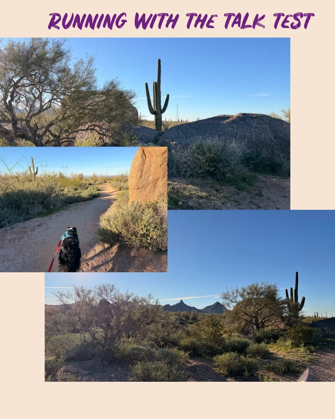 Some days it just feels nice to not look at your watch.

Running by feel can be a rewarding way to get out and just play. Metrics are great and it is nice to be able to see your zones, but, there are times that you don't want your play to feel like w