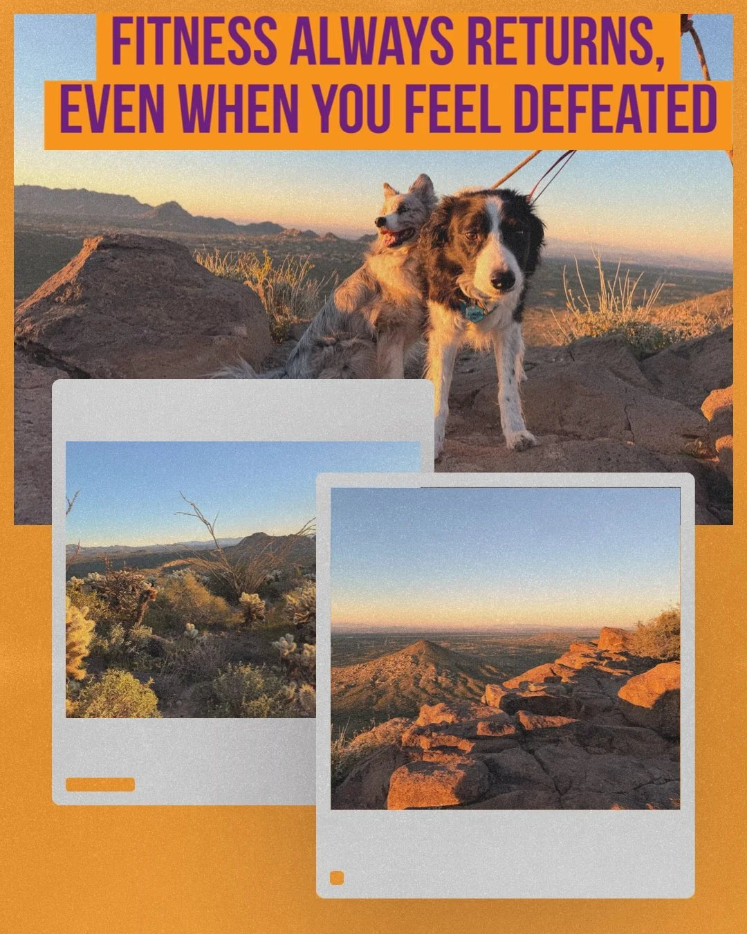I always reassure my athletes that even when it seems like they are not going to get their fitness back, they will.
I have been through the wringer over the last two years and I have been working hard to get back what I lost.  I almost felt like it w