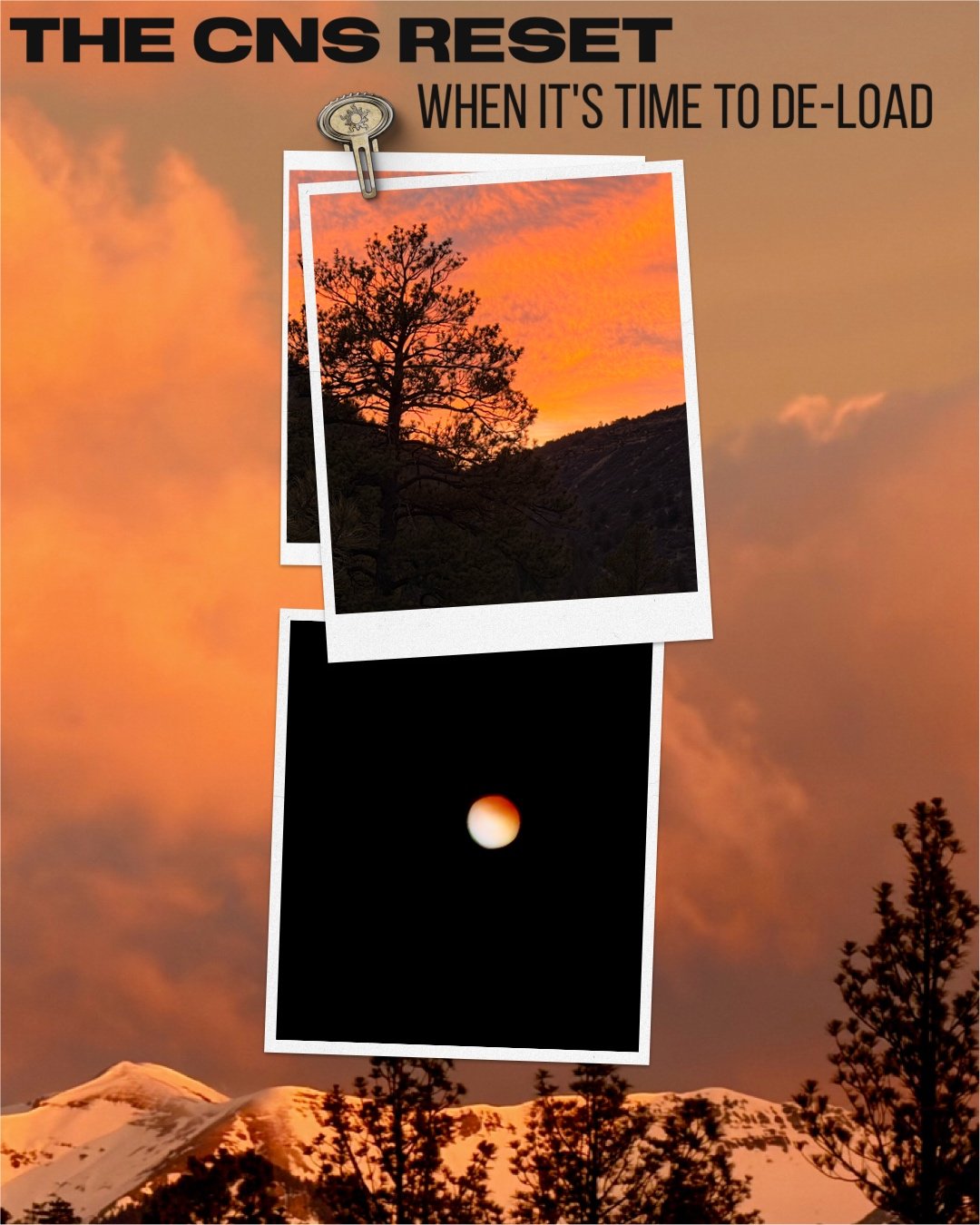 The De-load, the most important week of your training block.

When you have been ramping up for several weeks, your system accumulates "residual fatigue." This isn't just muscle soreness; it&rsquo;s a systemic load on your Central Nervous S