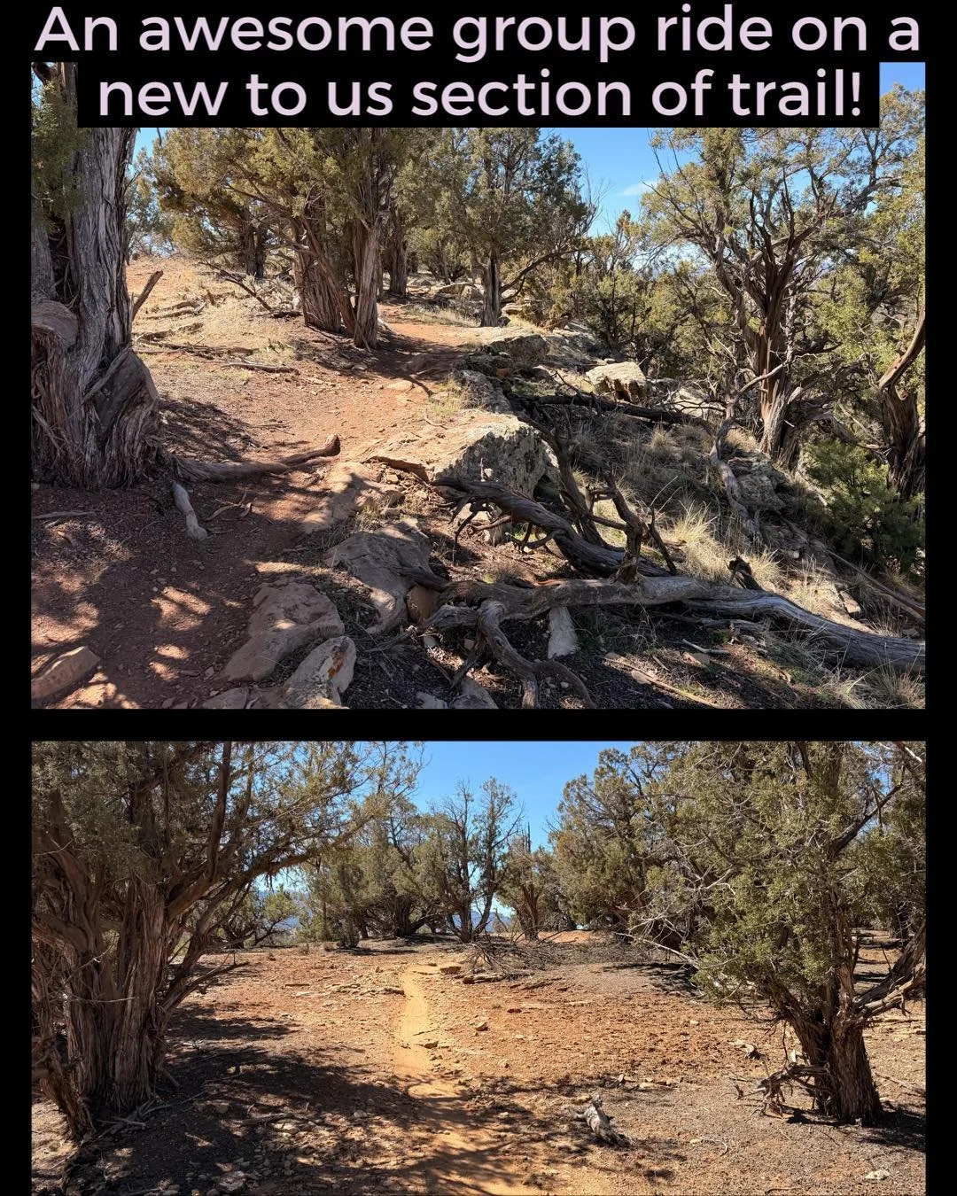 It&rsquo;s pretty sweet living in a place where we can get fresh powder one day and go mountain bike on amazing single track the next day!
The sun is getting super warm and it&rsquo;s sunscreen and sun shirt season already!
Today&rsquo;s ride was ful