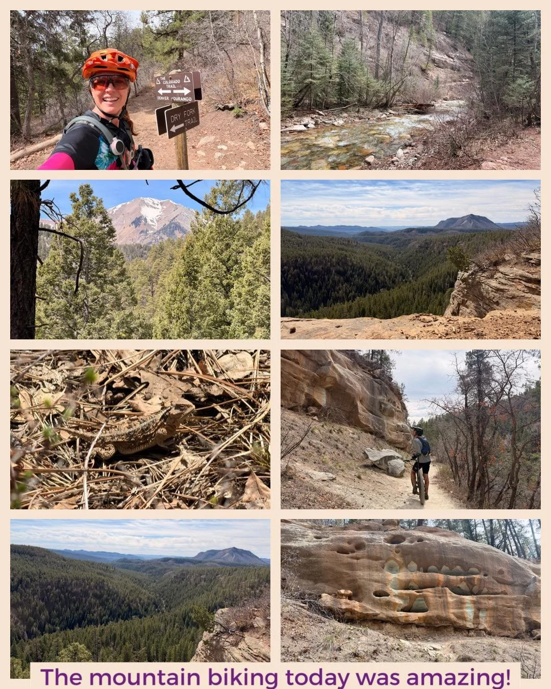 It&rsquo;s like summer here and the town trails are dry so we rode part of the CT today!
8 miles of climbing in one push and then 7 miles of descent. It was work but felt so good! 
I&rsquo;m so ready for some alpine riding and if it doesn&rsquo;t rai