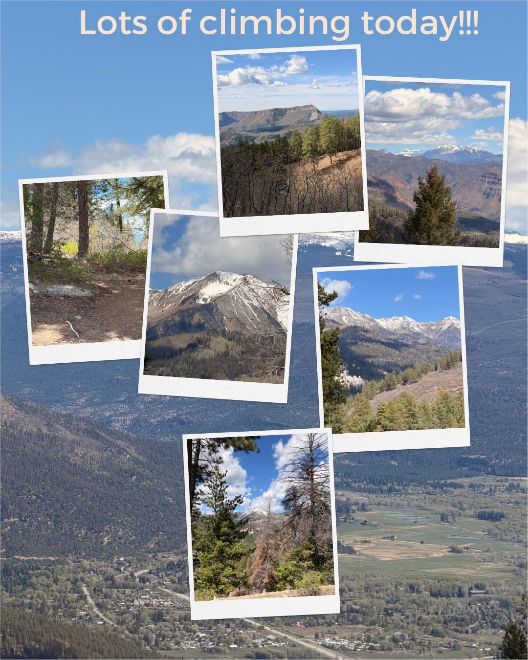 Lots of climbing on this ride! 8 miles up then 3 down then up and down for the last 11 miles. The last climb was unexpected and made my legs burn but we had so much fun and got to eat some homemade cinnamon sugar croissants (I&rsquo;ll be making thes