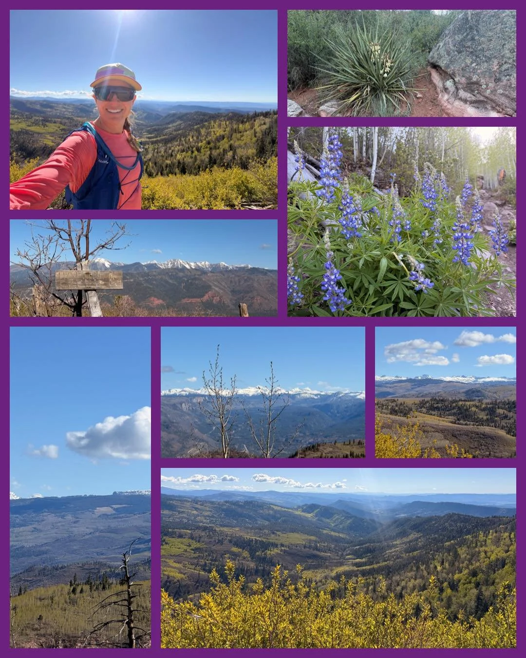 Working our way up to long mountain days! Biking is so much easier right now, but the only way to improve is by getting out there!
The flowers are so pretty right now! We also saw a ton of wildlife today! We saw two big bears and two cubs (driving to