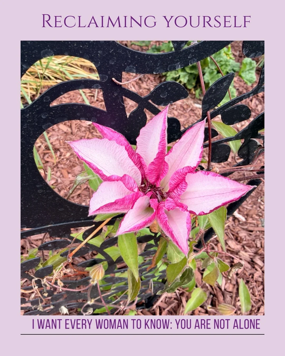 I wanted to run away from a life I loved. 

For months, I didn't recognize the woman in the mirror. My joints ached, my sleep was gone, and during my workouts, I felt like a "slug". I even had thoughts of disappearing with my dog just to be
