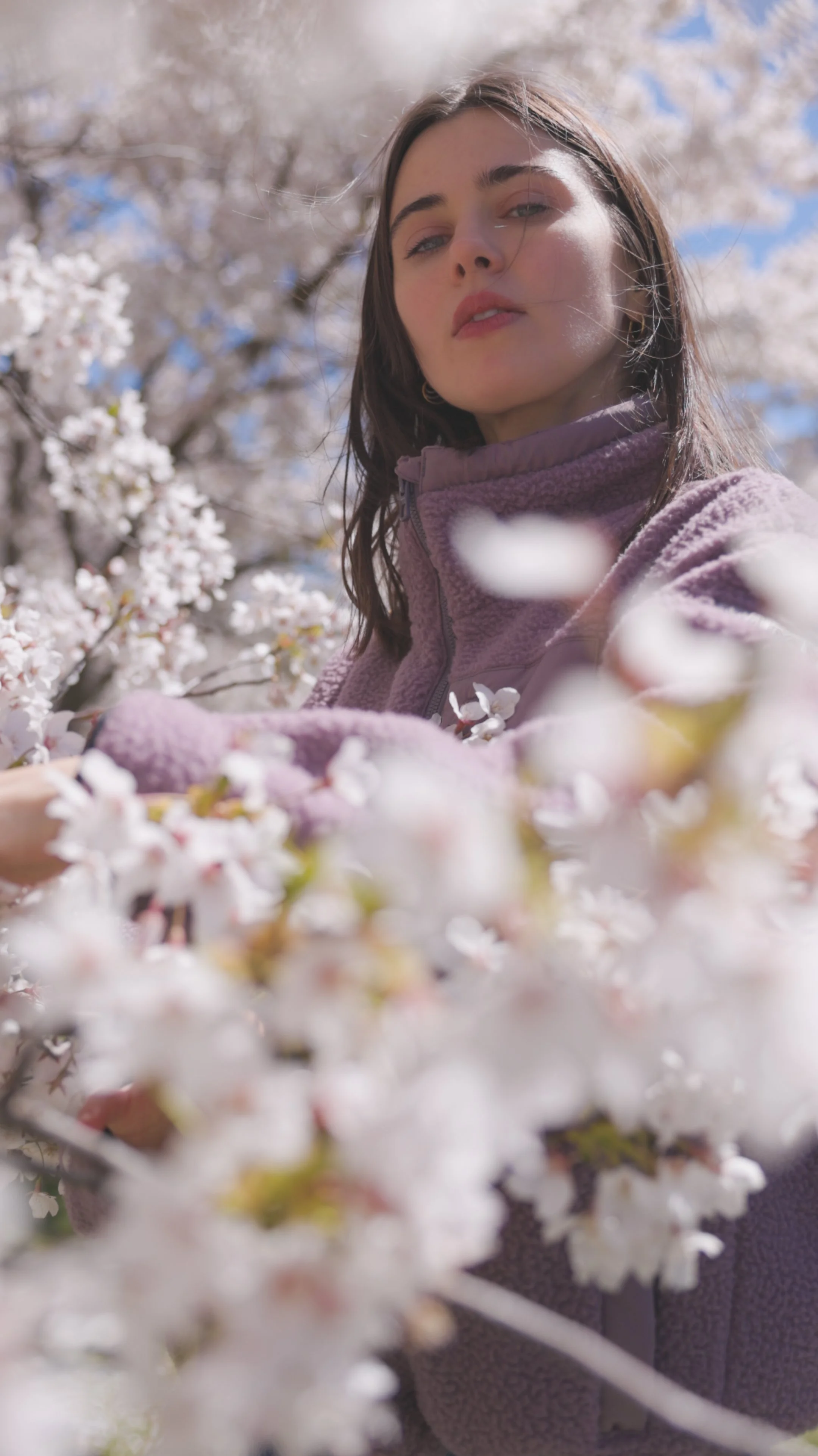 A woman with dark hair, wearing a purple fleece jacket, standing in a blooming cherry blossom tree during spring with blue sky.