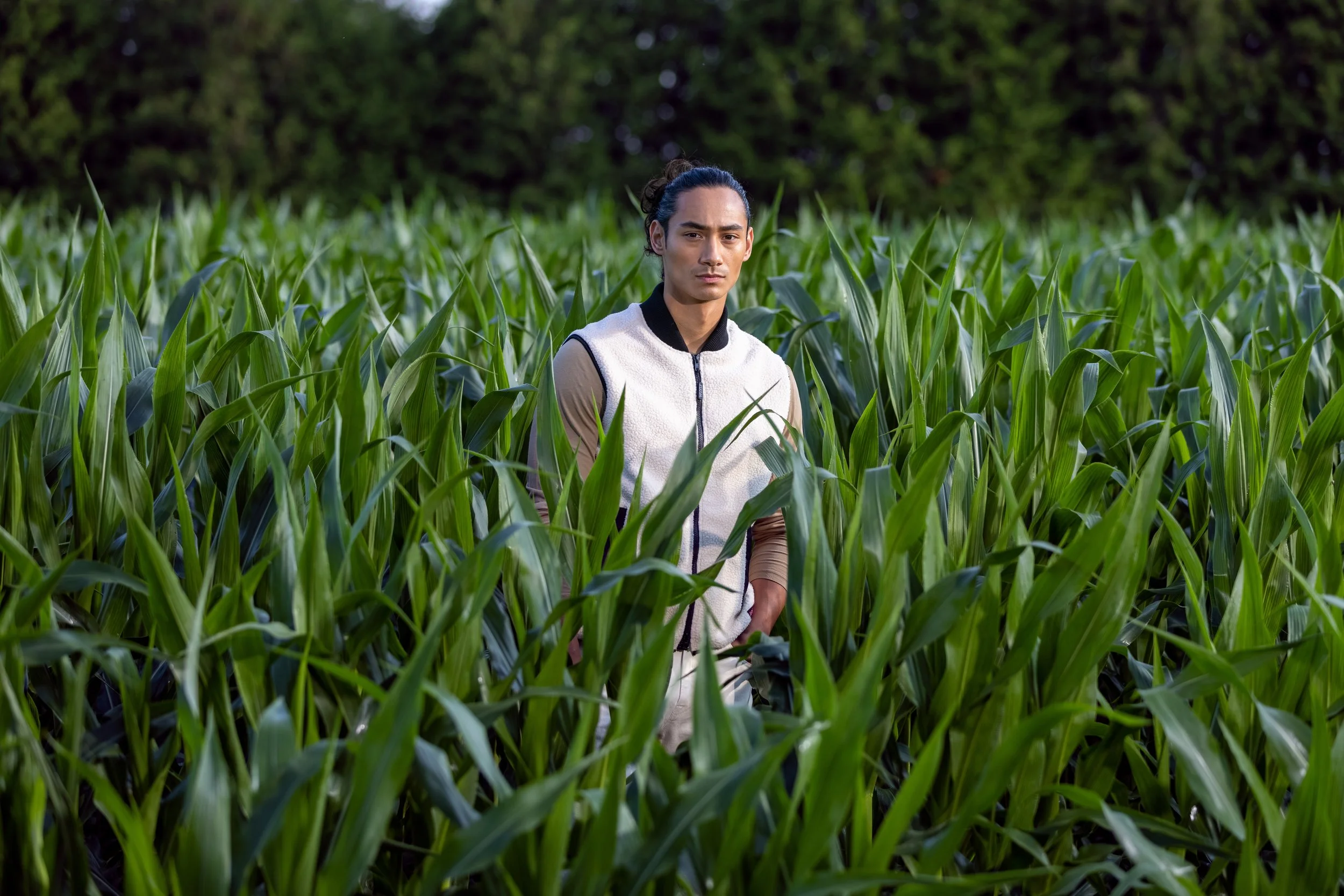 A person standing in a green corn field of tall crops with trees in the background.