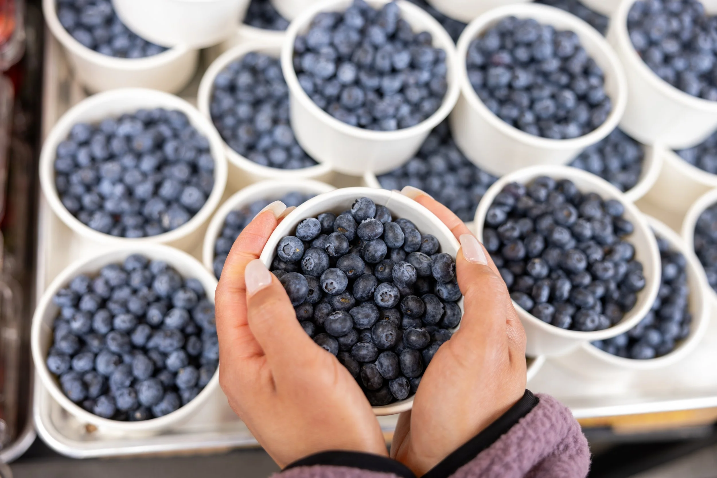 Person holding a container filled with fresh blueberries at a market stall, with multiple similar containers of blueberries in the background.