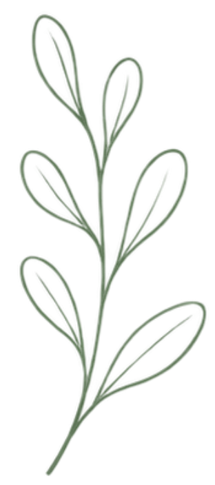A simple, hand-drawn illustration of a green plant or sprig with multiple elongated leaves.