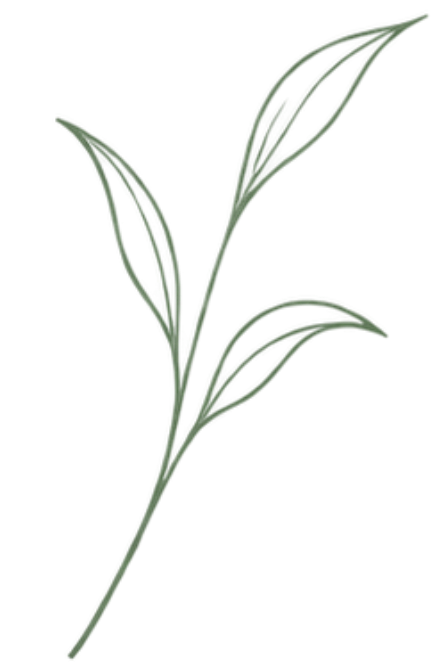 A green sprig with elongated leaves on a black background.