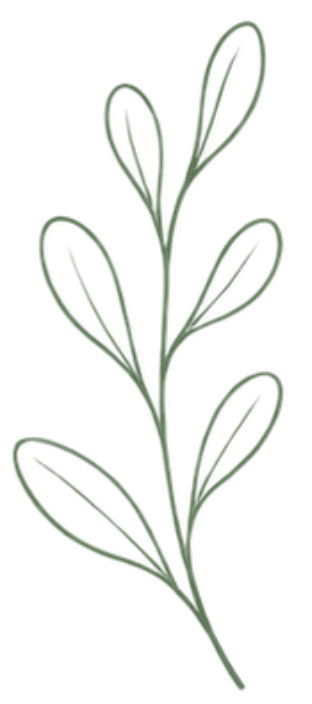 Simple line drawing of a green plant with elongated oval leaves.