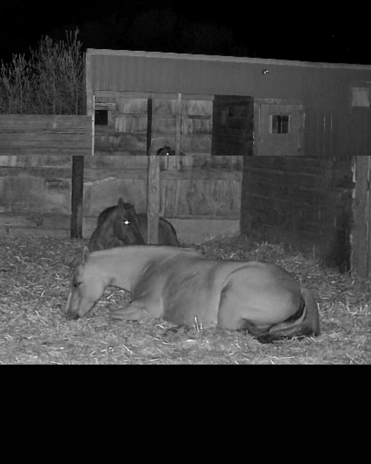 Integrity & Influence. 