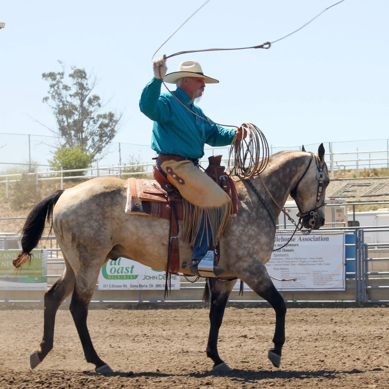 Dwight Hill Roping.jpg