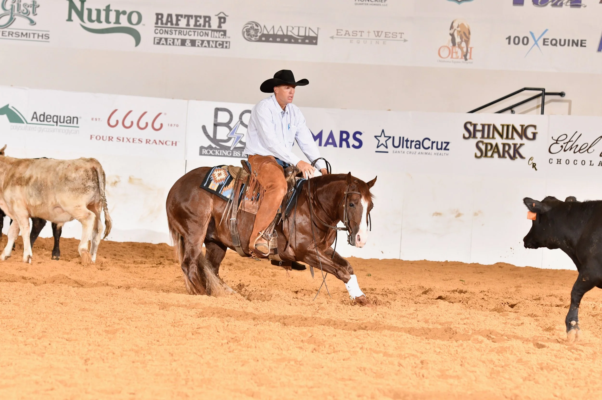 A cowboy riding a horse inside an arena, with a black calf in the foreground. There are advertisements on the wall behind them.NRCHA finals show snaffle bit futurity