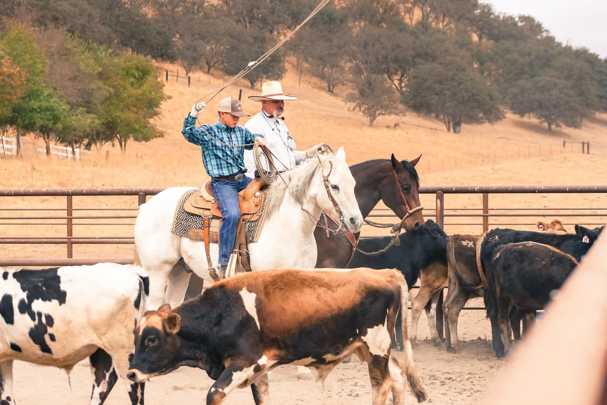 dwight hill roping youth.jpg