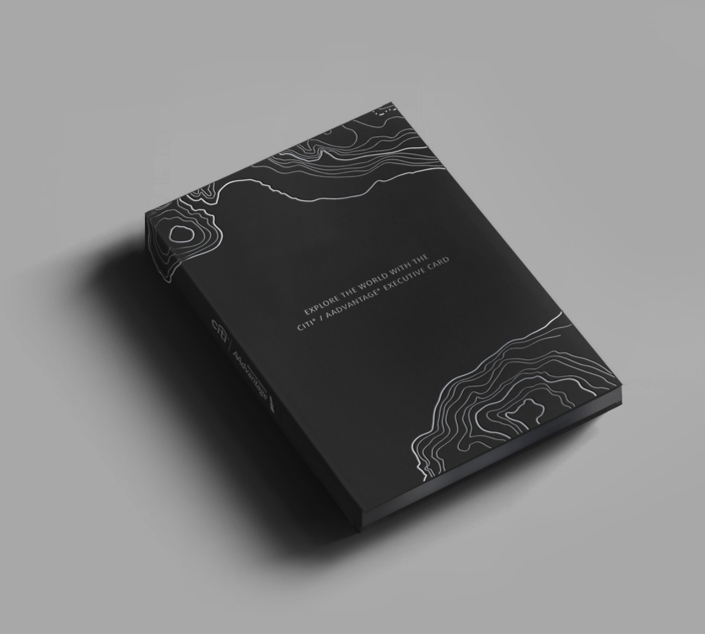 Professional presentation package representing bundled executive advisory support