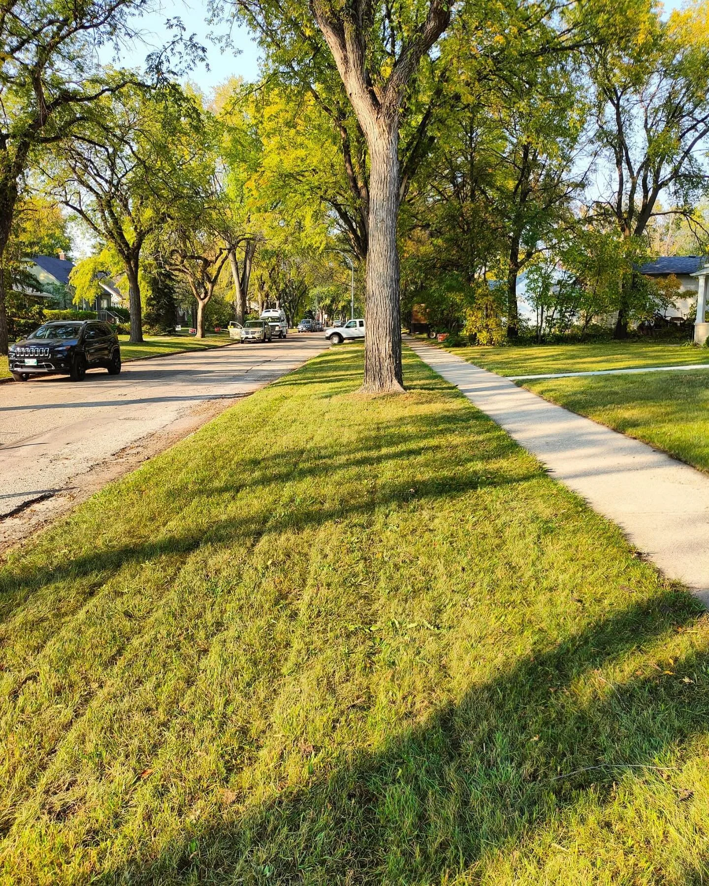 Our expert team is primed to transform your yard into an enviable, crisp and clean green space.

📩 Reach Out: cedartreemb@gmail.com
☎️ Lawn Care: (431) 373-8129
☎️ Stump Removal: (204) 771-5874

We're serious about lawns, so you can be serious about