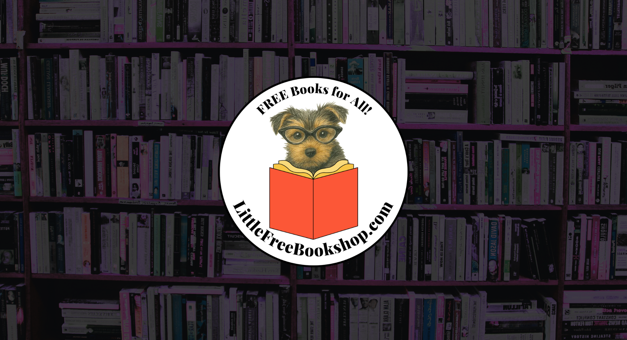 Meet Little Free Bookshop, the Nonprofit Mailing Free Books to Readers Nationwide