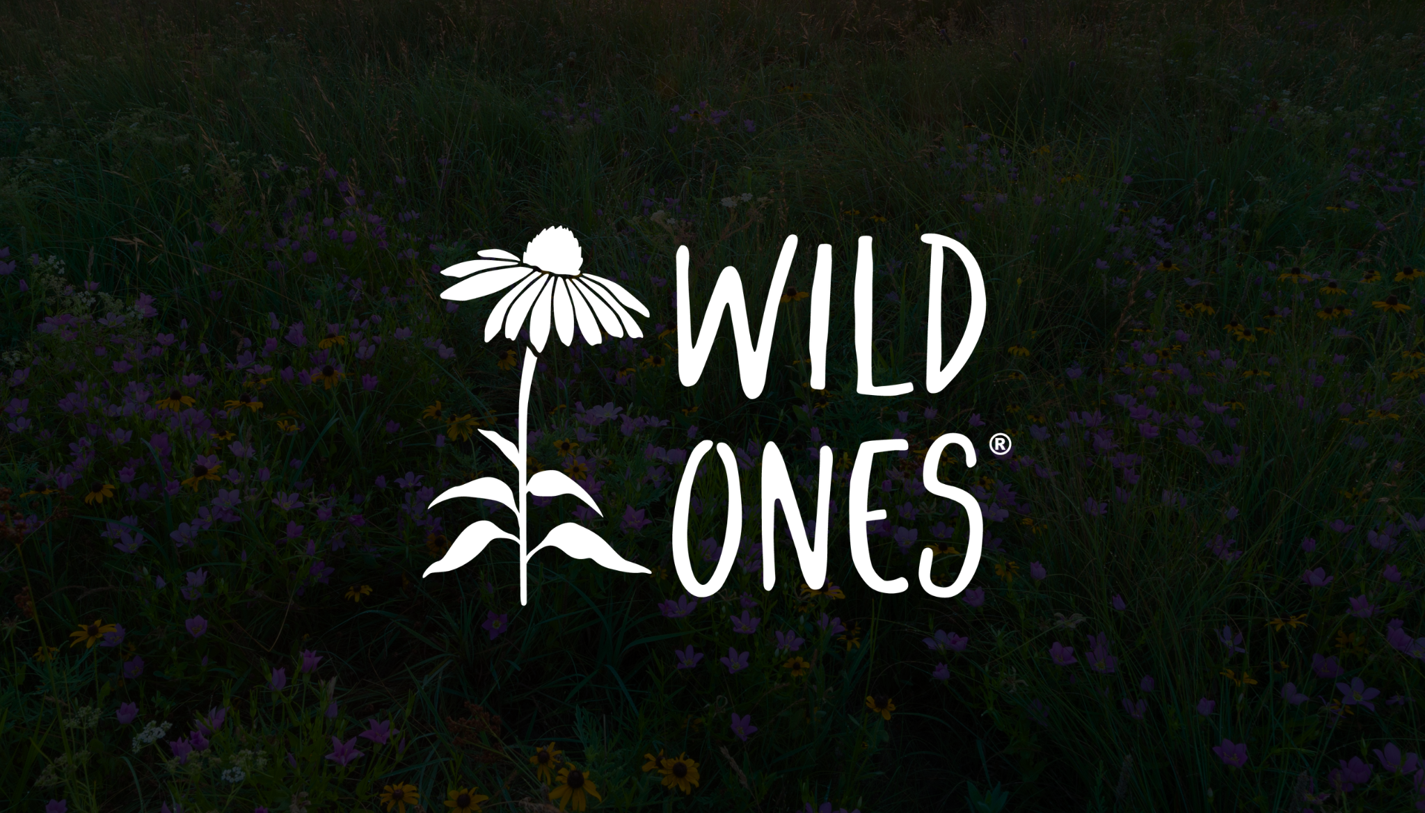 Wild Ones and the Growing Movement to Restore Native Habitats at Home