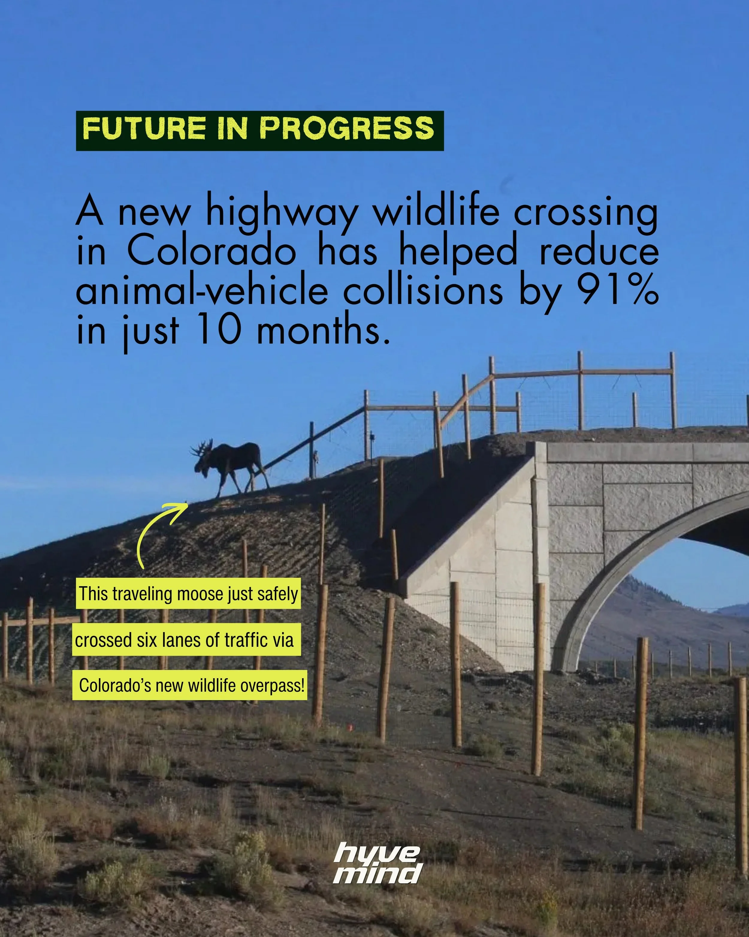 Elk, bears and pronghorn are using North America&rsquo;s largest wildlife overpass to cross six lanes of Interstate 25 in Colorado. 
The Greenland Wildlife Overpass opened in December 2025 in Douglas County, reconnecting roughly 39,000 acres of habit
