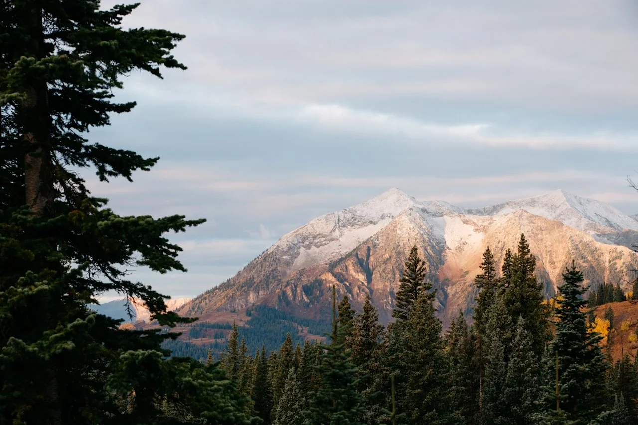 The Trump Administration Is Quietly Destroying Our National Forests
