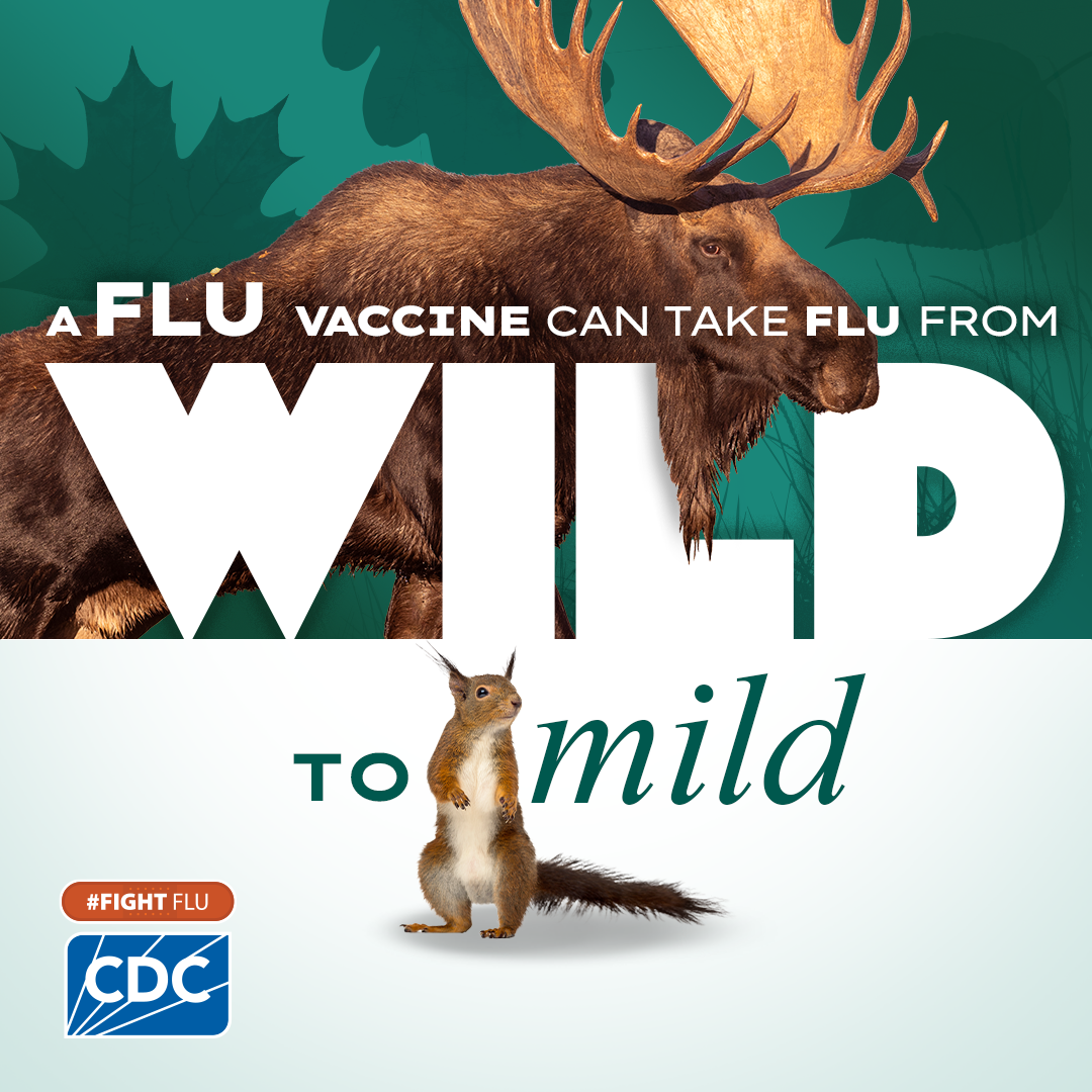 2024_Flu-FB_65_Moose_Fall_1080x1080_v02.png