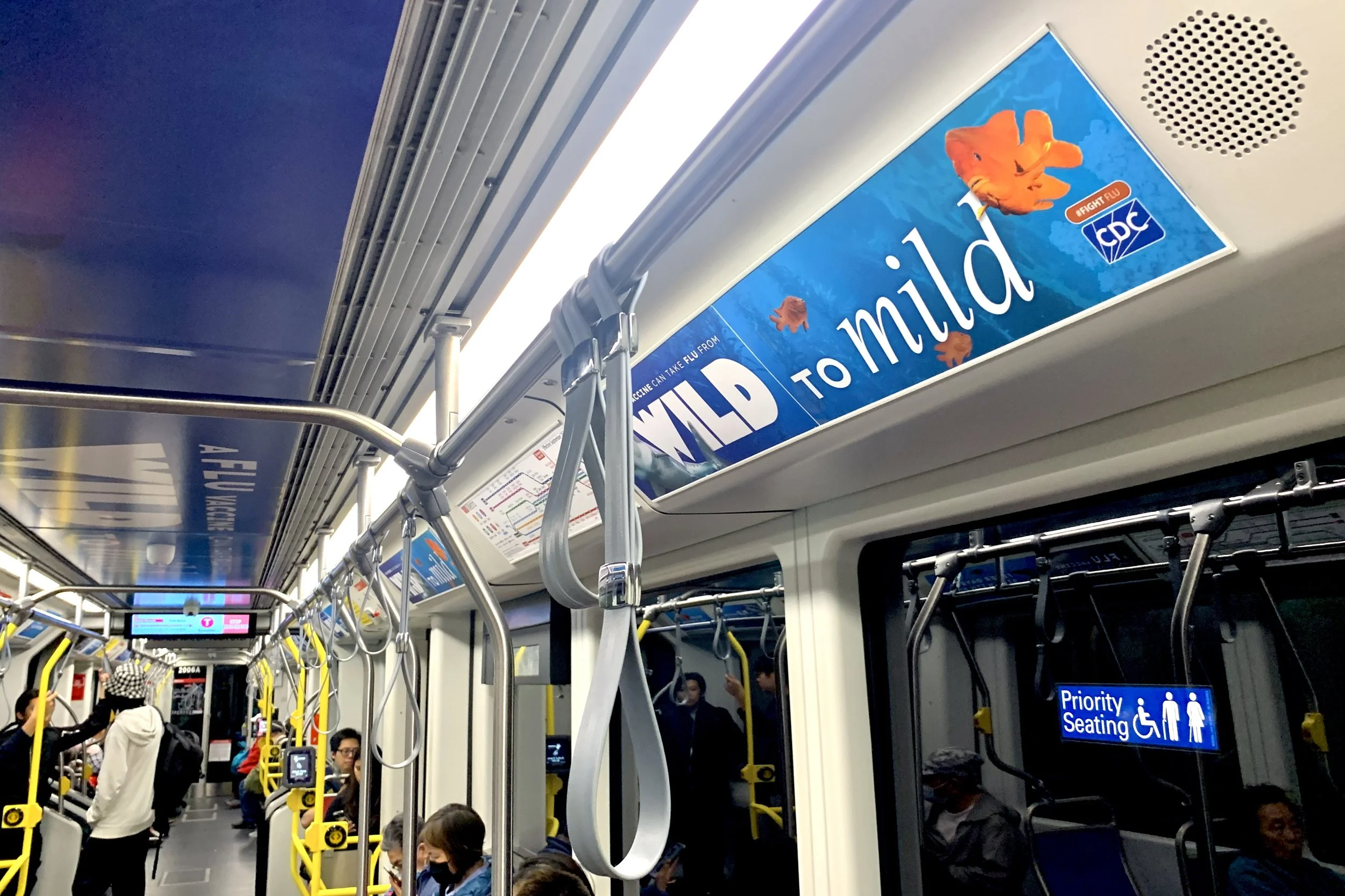 Ceiling Wrap_22416623_1701331.JPG