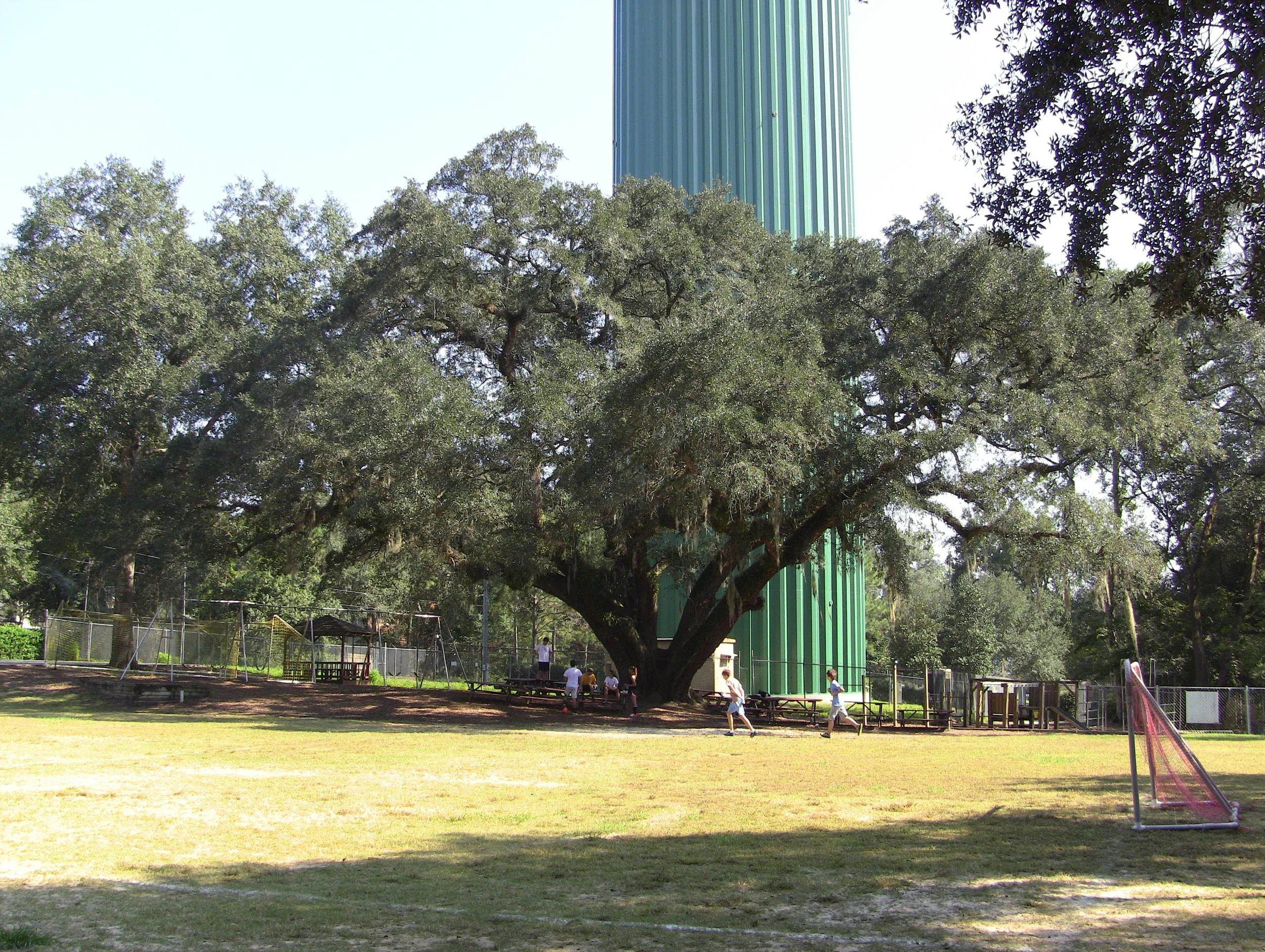Gallery 1 — Community Christian School