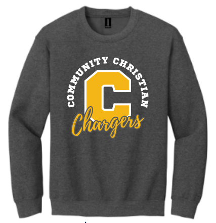 Athletic gray sweatshirt.png