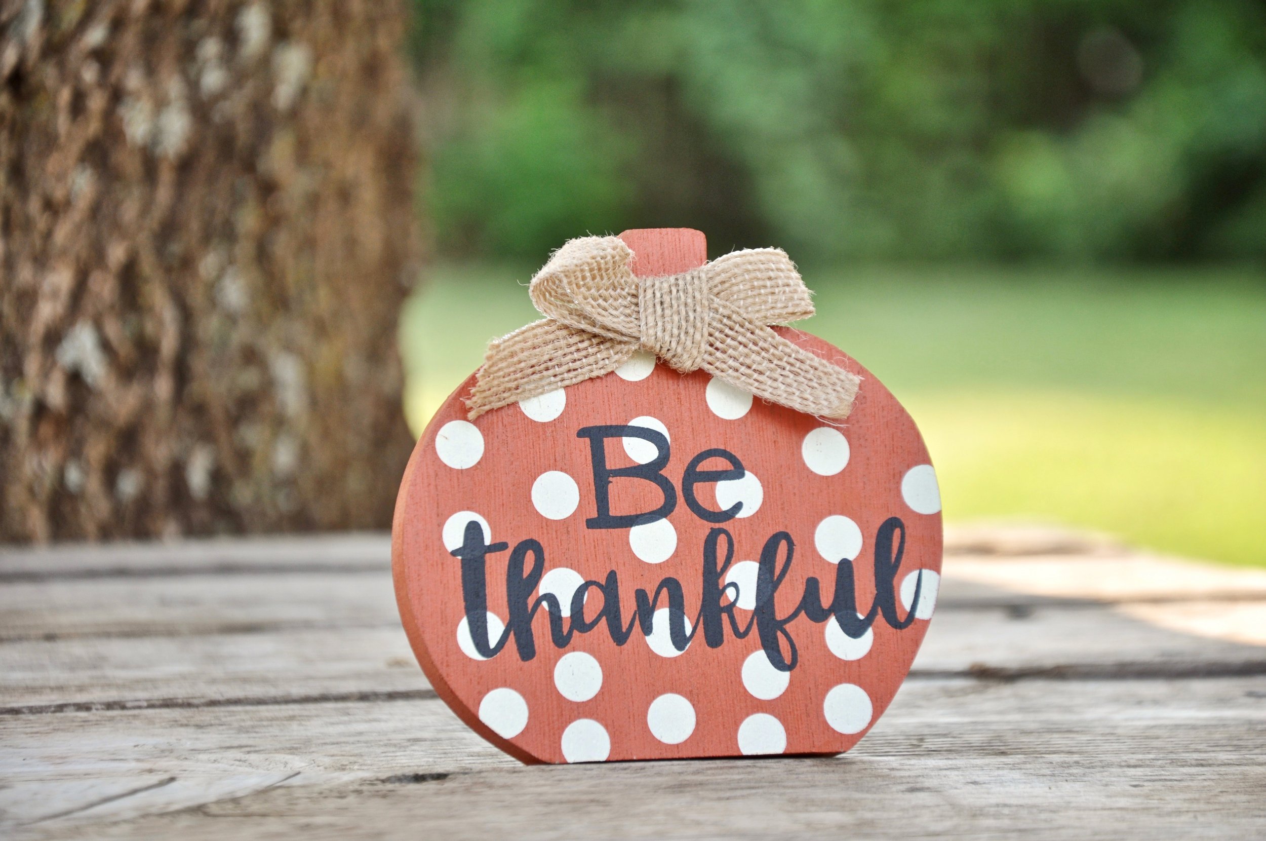 Thanksgiving Holiday-No School