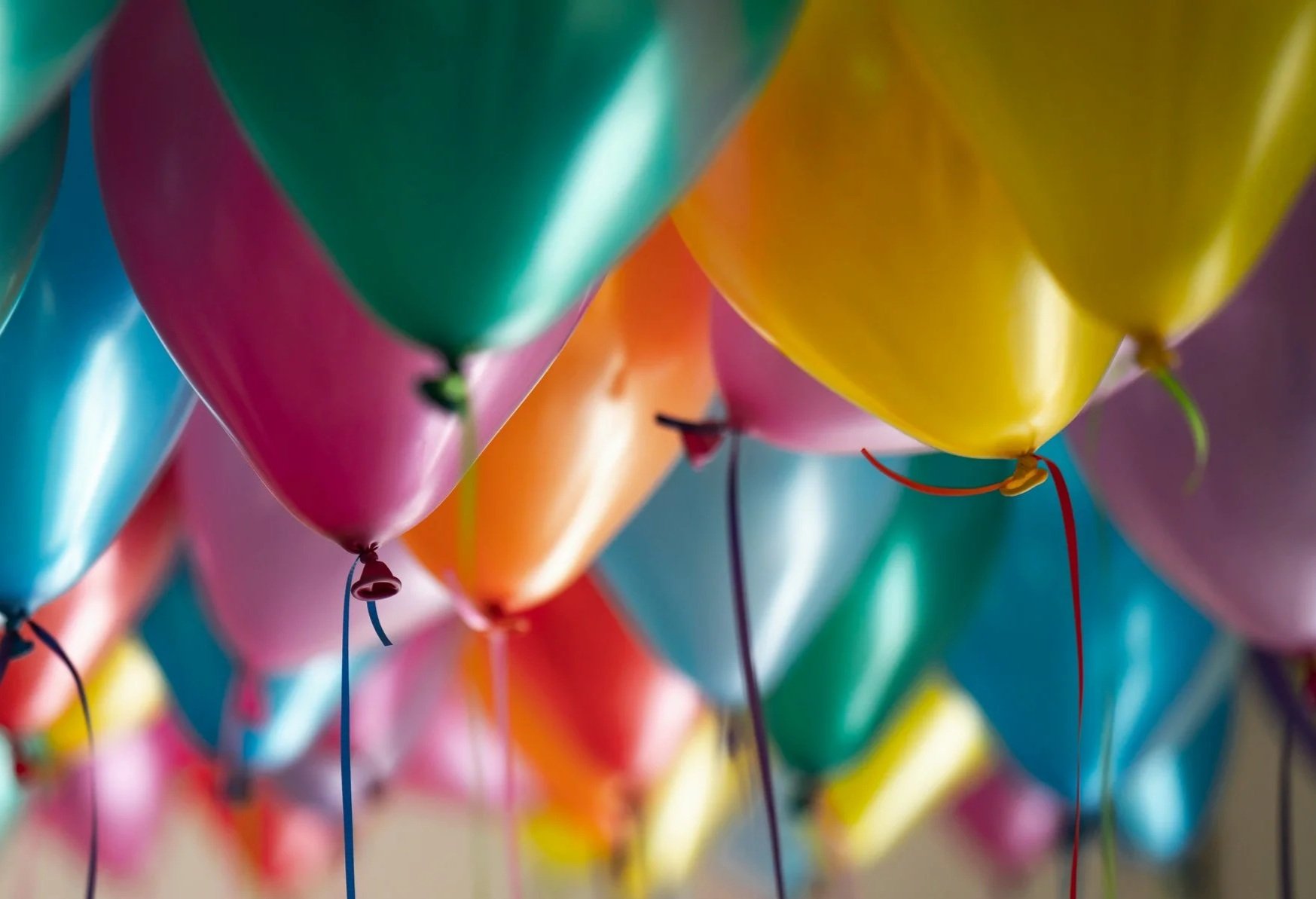 VPK & K Celebration
